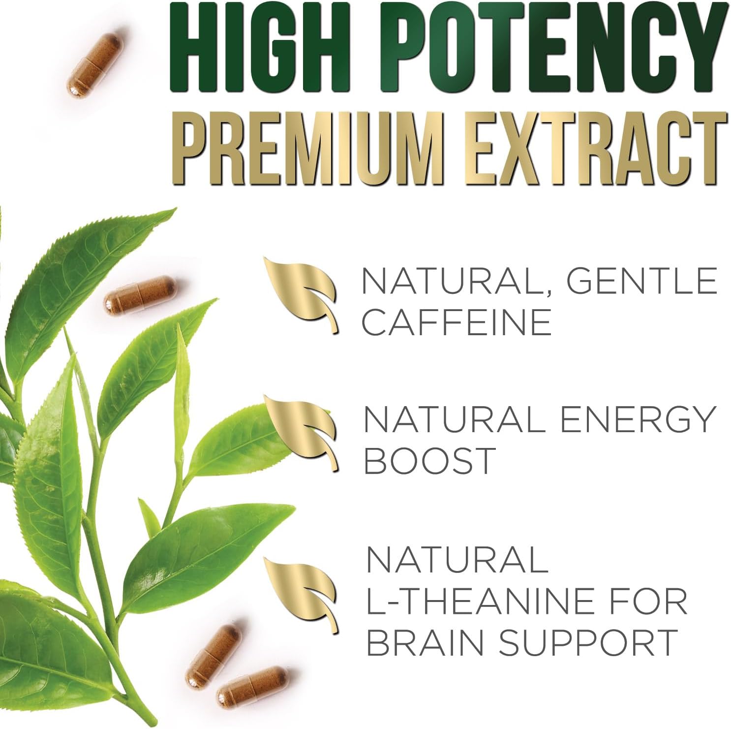 High Strength Green Tea Extract Capsules - 1000mg with 98% EGCG - Natural Energy Boost & Heart Support - 240 Capsules