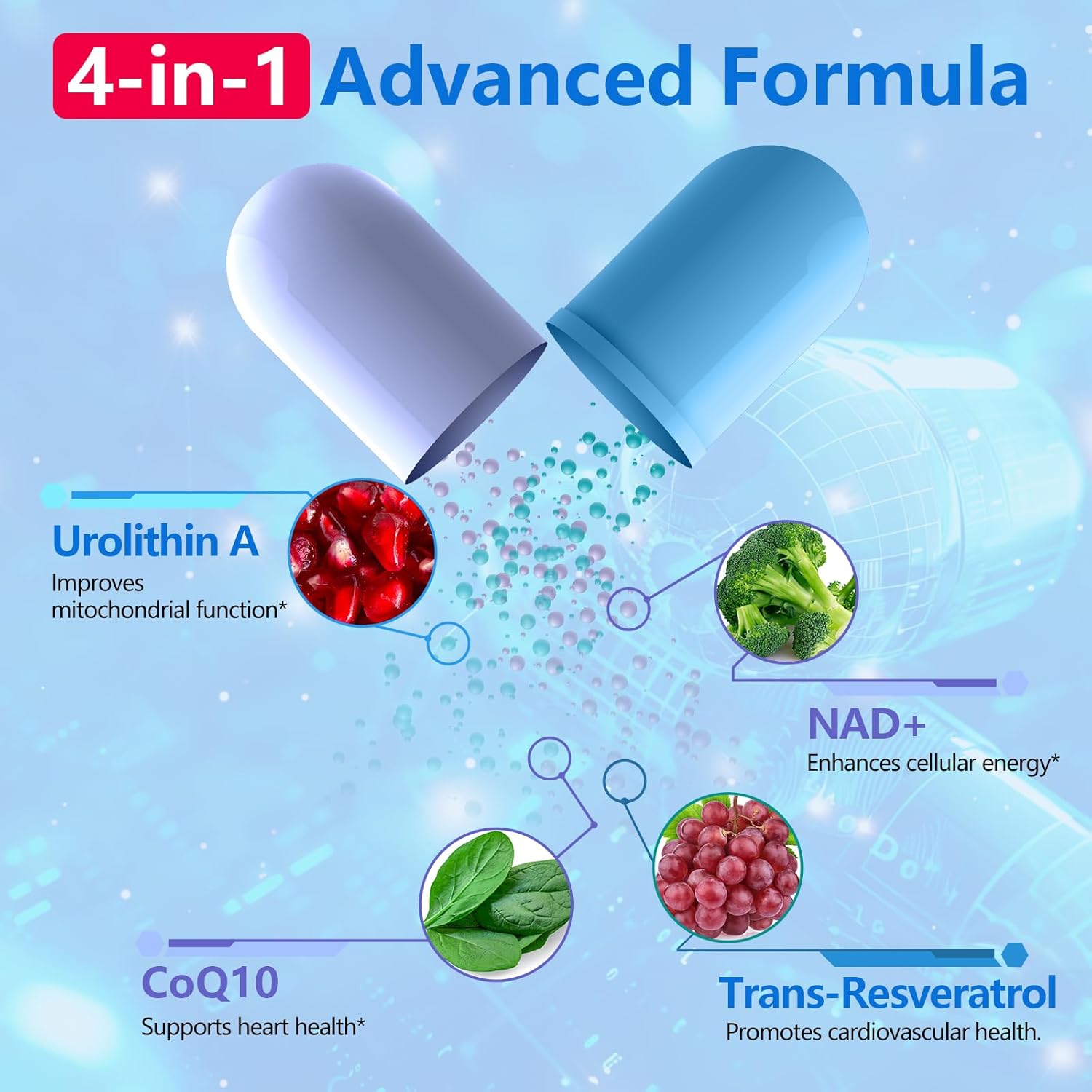 High Strength Liposomal Urolithin A Supplement for Healthy Aging and Energy - 1700mg Per Serving (60 Softgels) with NAD, CoQ10, Trans-Resveratrol - Muscle Health Support