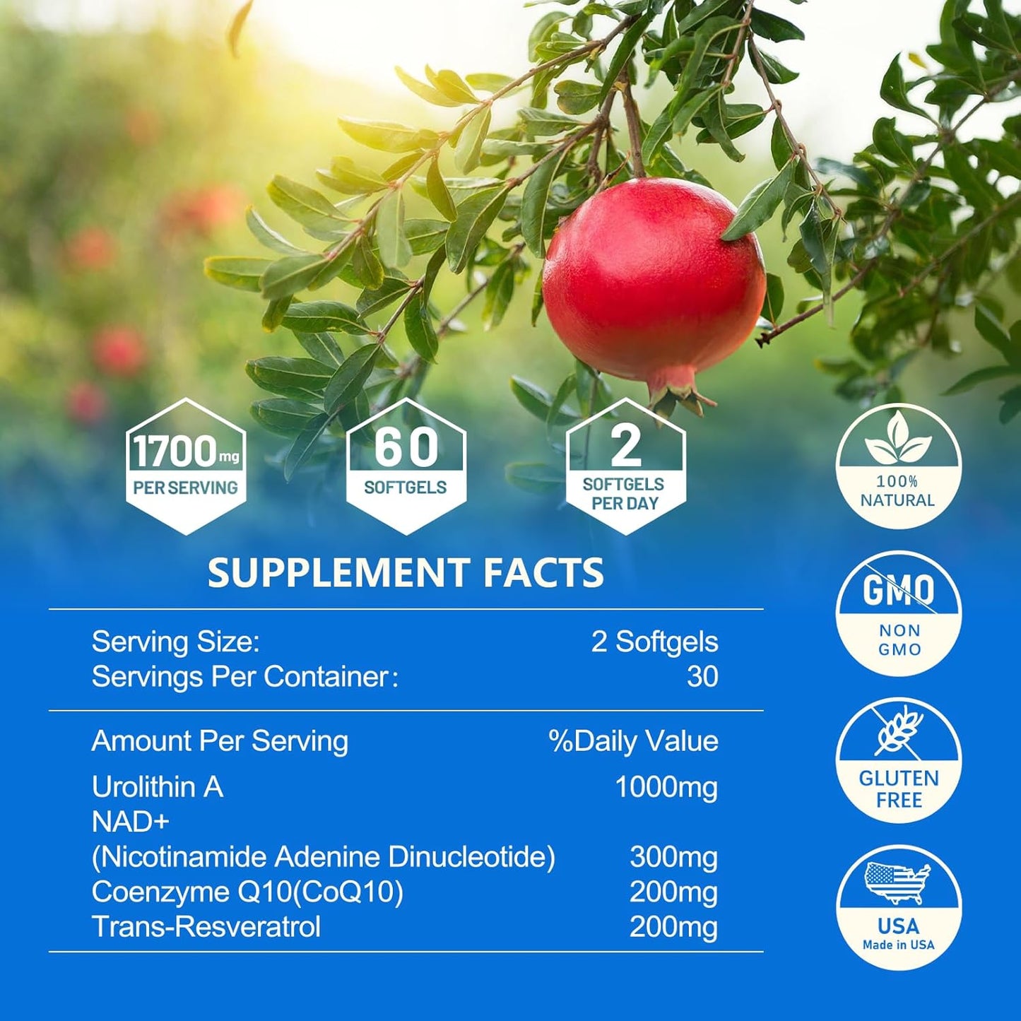High Strength Liposomal Urolithin A Supplement for Healthy Aging and Energy - 1700mg Per Serving (60 Softgels) with NAD, CoQ10, Trans-Resveratrol - Muscle Health Support