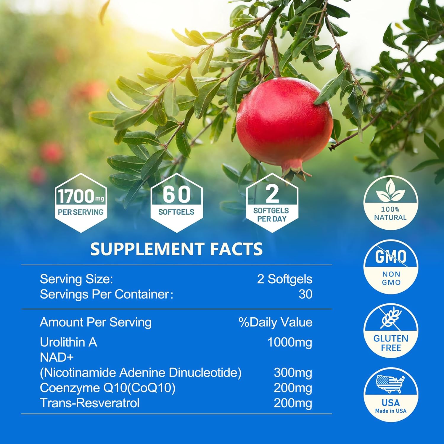High Strength Liposomal Urolithin A Supplement for Healthy Aging and Energy - 1700mg Per Serving (60 Softgels) with NAD, CoQ10, Trans-Resveratrol - Muscle Health Support