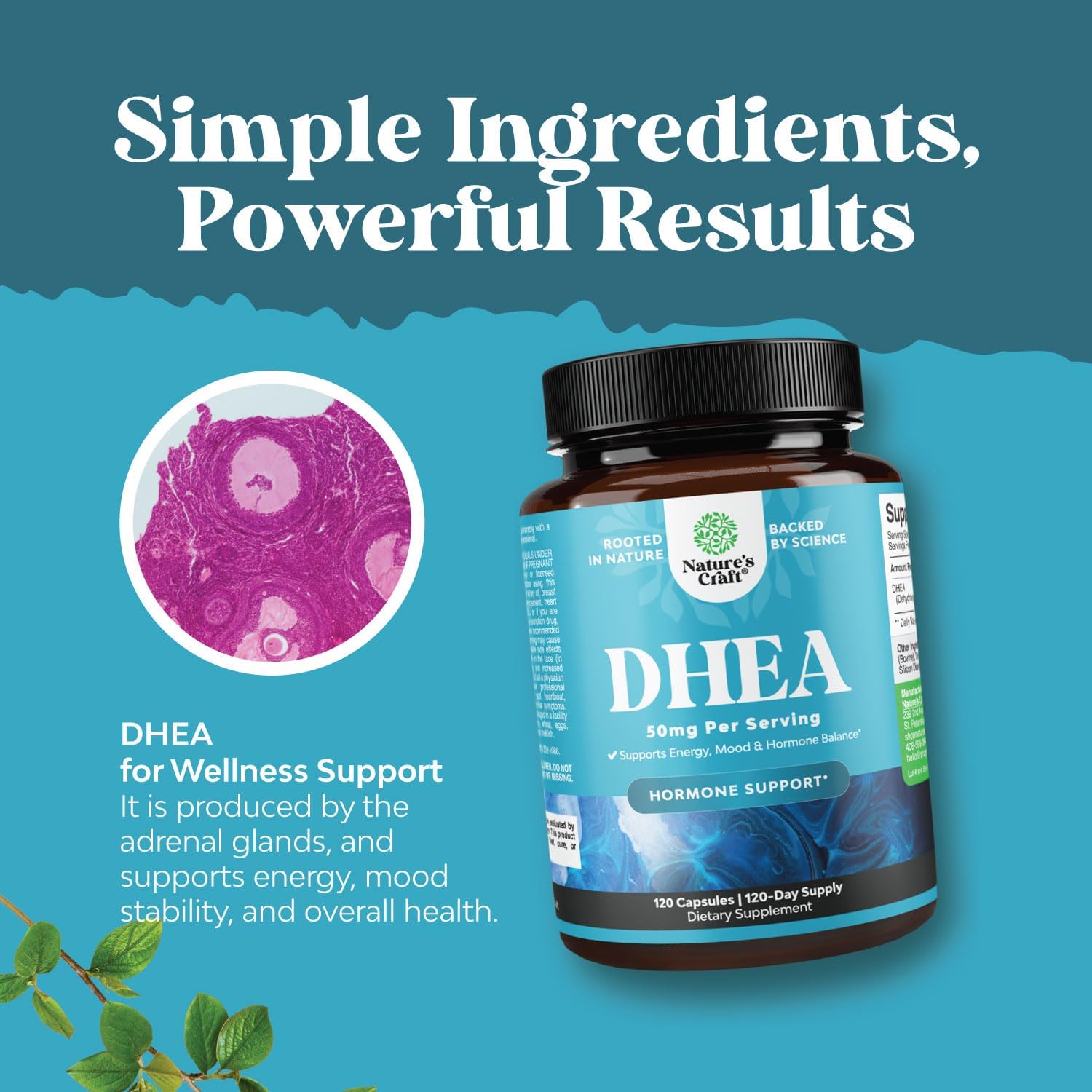 High Strength Natures Craft DHEA 50mg Supplement for Hormone Balance in Men and Women - Enhanced Energy - 4 Month Supply