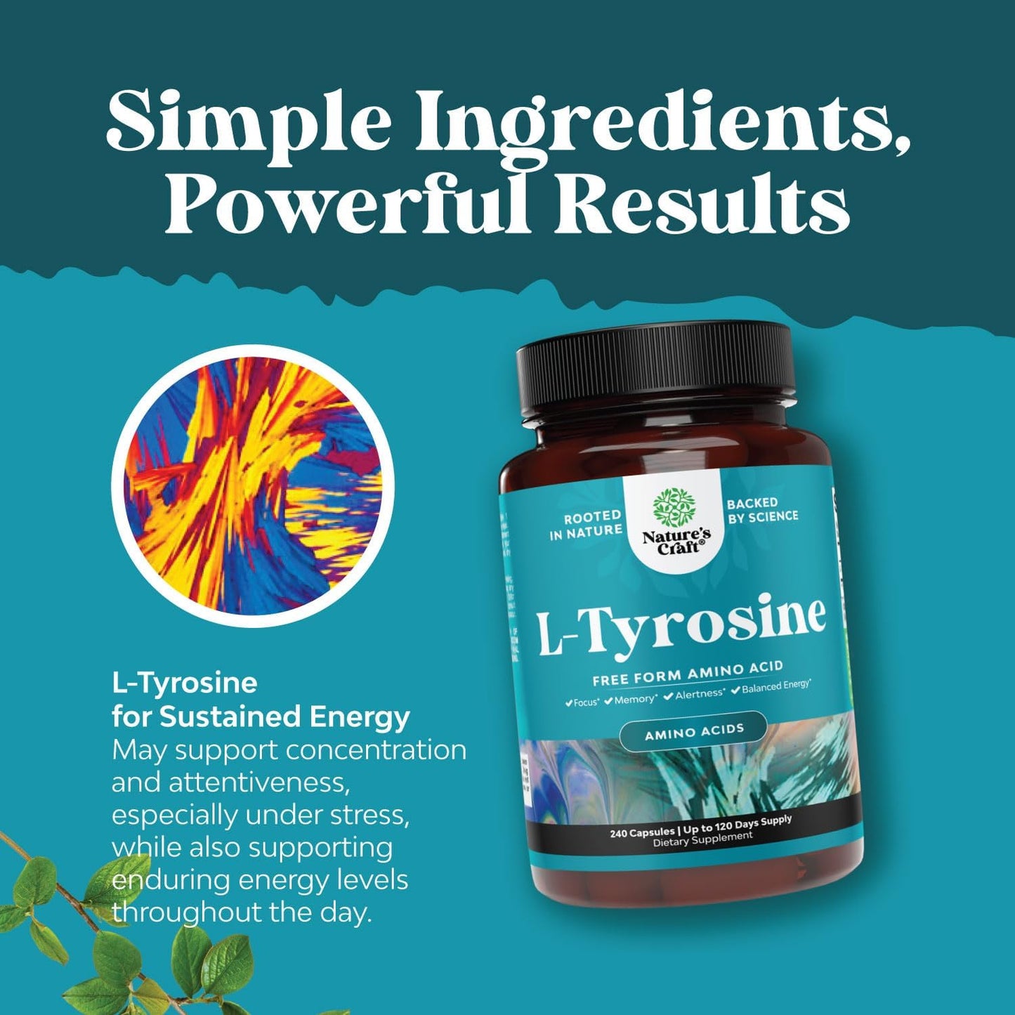 High Strength Natures Craft L-Tyrosine Supplement - 1000mg per Serving for Energy, Focus, Attention, and Cognition - Amino Acid Nootropic (240 Count)