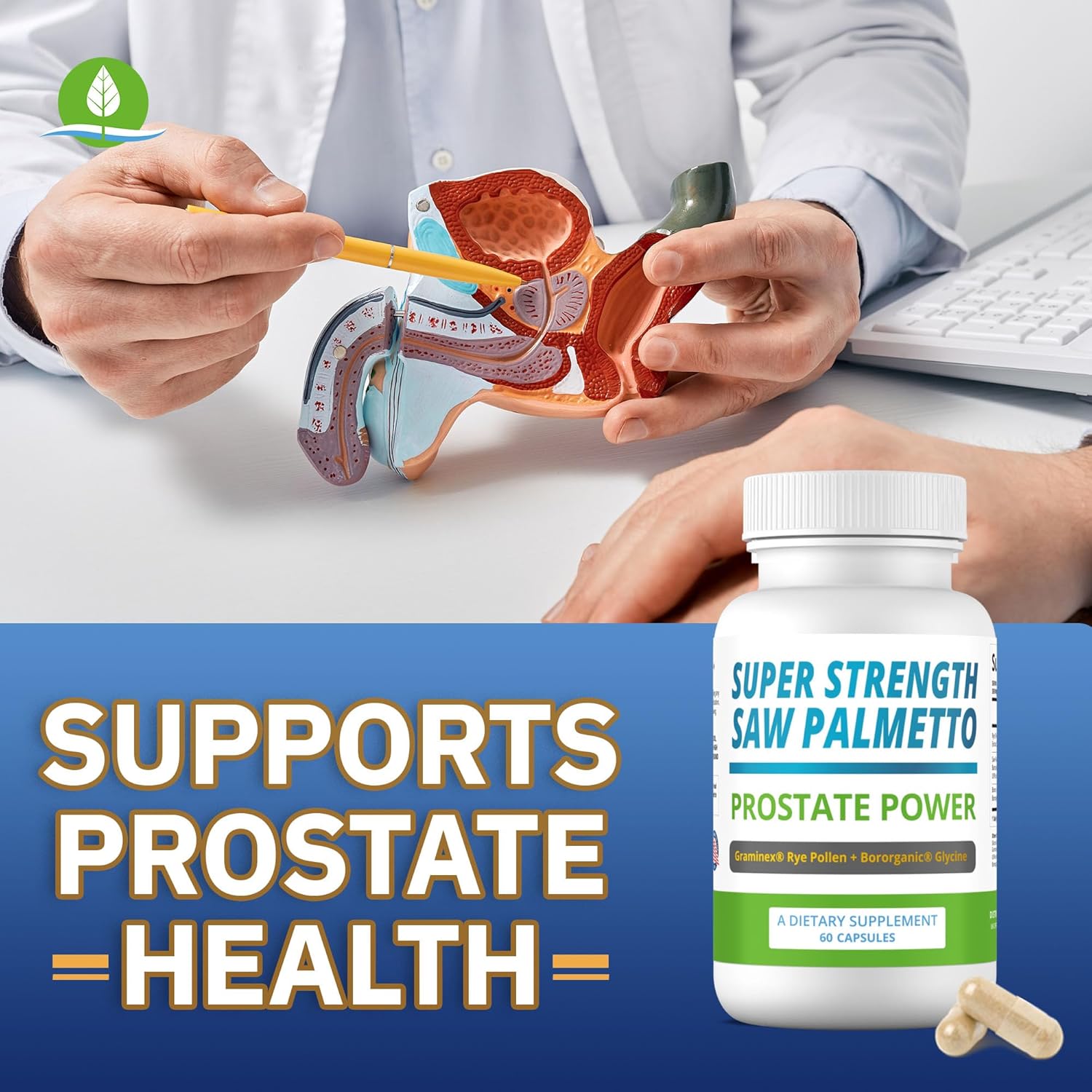 High Strength Saw Palmetto Extract Capsules for Men's Prostate Health - 180 Capsules