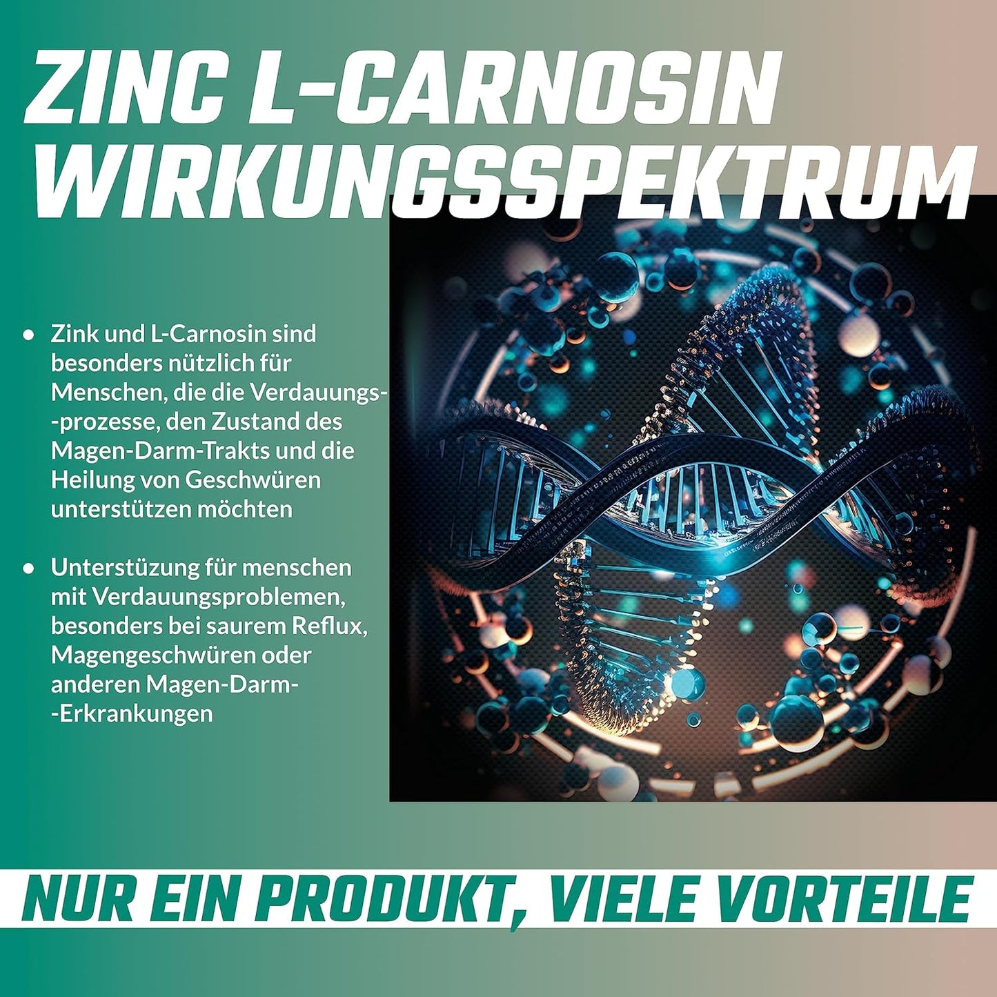 High Strength Zinc L-Carnosine Capsules - 90 Vegan Capsules, 3 Months Supply - Zinc Supplement with Beta-Alanine - Apollo's Hegemony