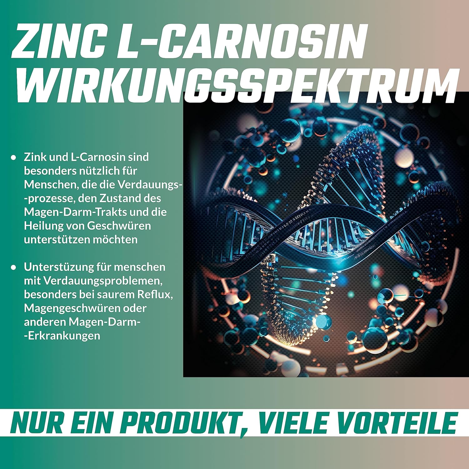 High Strength Zinc L-Carnosine Capsules - 90 Vegan Capsules, 3 Months Supply - Zinc Supplement with Beta-Alanine - Apollo's Hegemony
