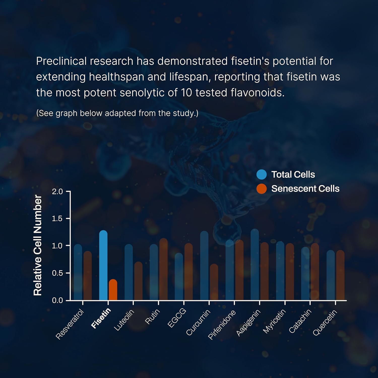 Highly Absorbable Fisetin Supplements with Powerful Antioxidant Benefits - 125mg X 60 Servings (3 Pack)