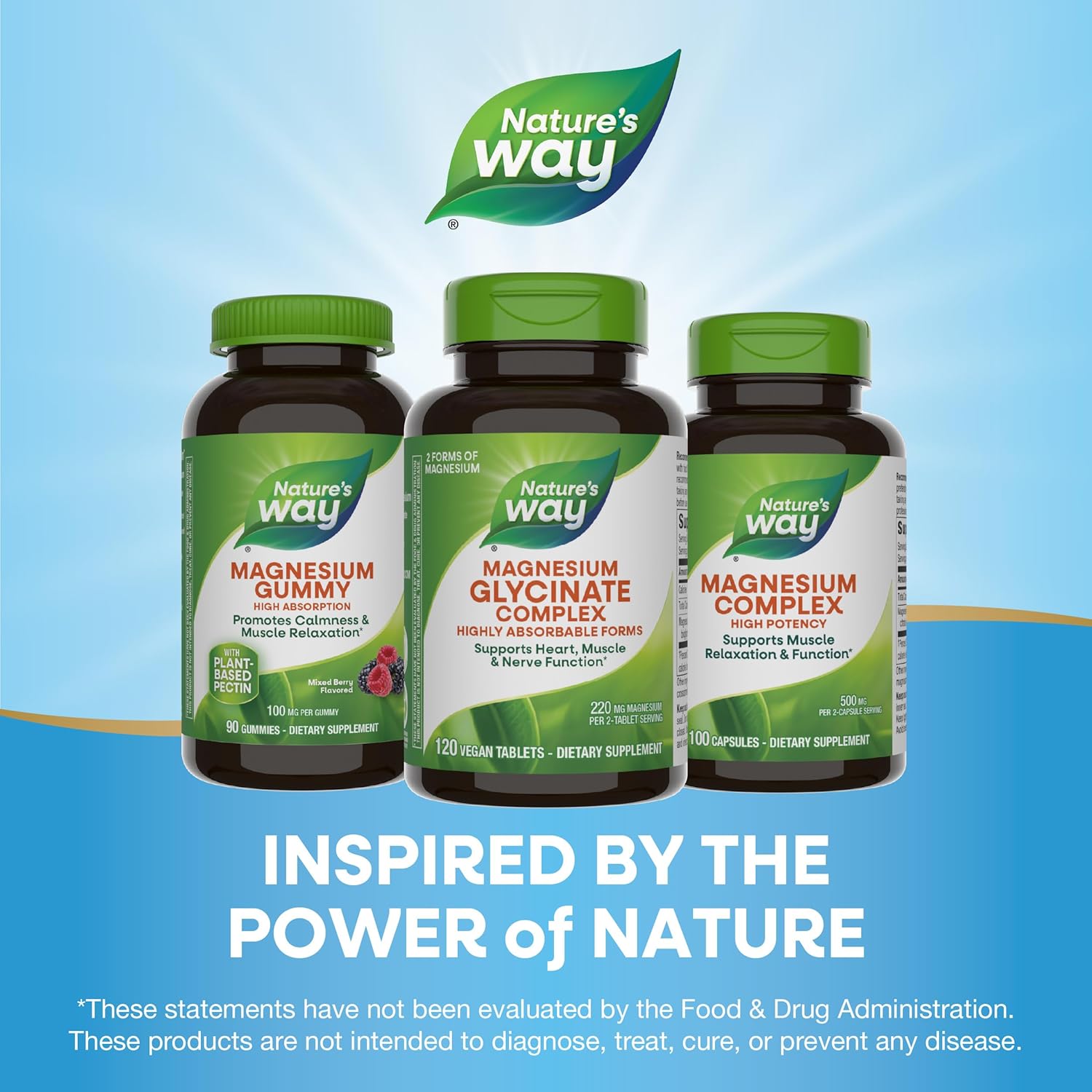 Highly Absorbable Nature's Way Magnesium Glycinate Complex for Heart, Muscle, Nerve Function - 120 Tablets