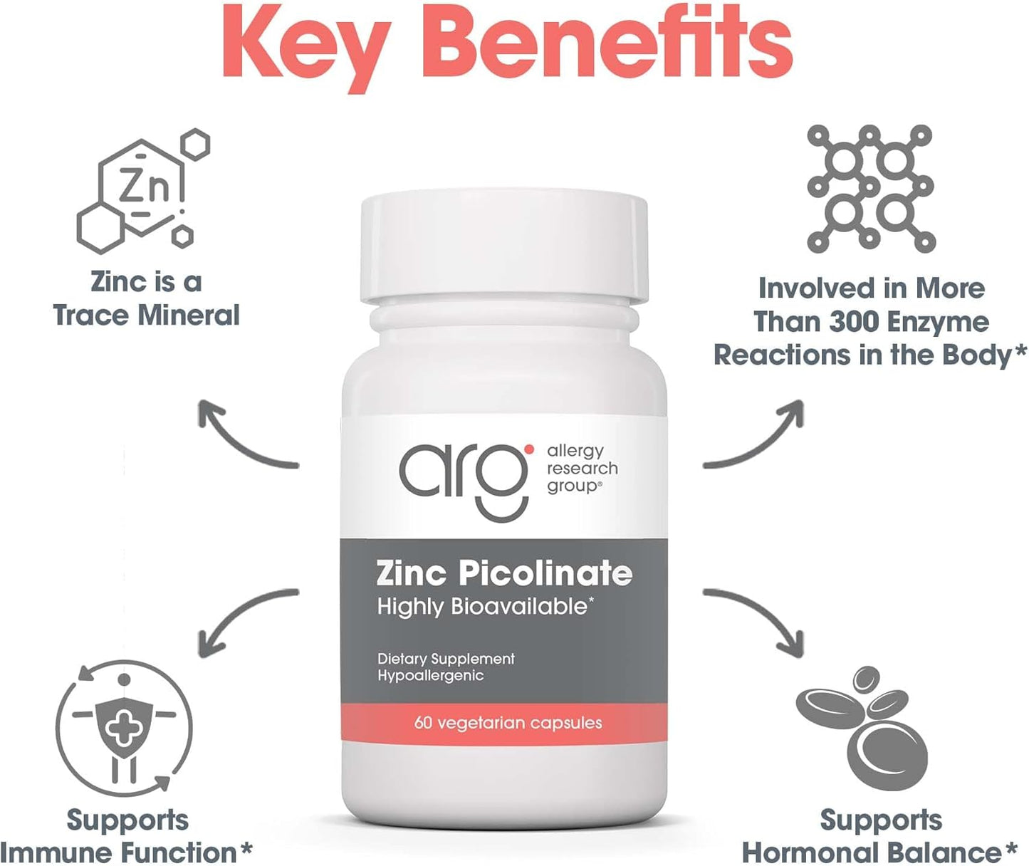 Highly Bioavailable Zinc Picolinate Supplement for Immune Health - 60 Vegetarian Capsules - Allergy Research Group