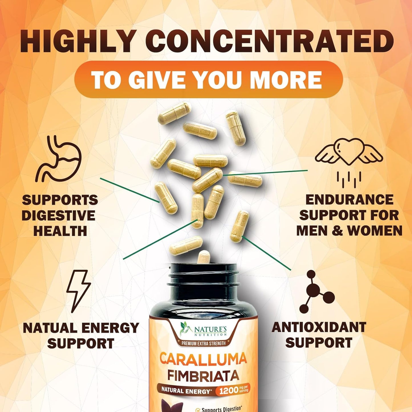 Highly Concentrated 1200mg Pure Caralluma Fimbriata Extract - Natural Endurance Support Capsules for Men & Women - Non-GMO Vegan Supplement - 180 Count