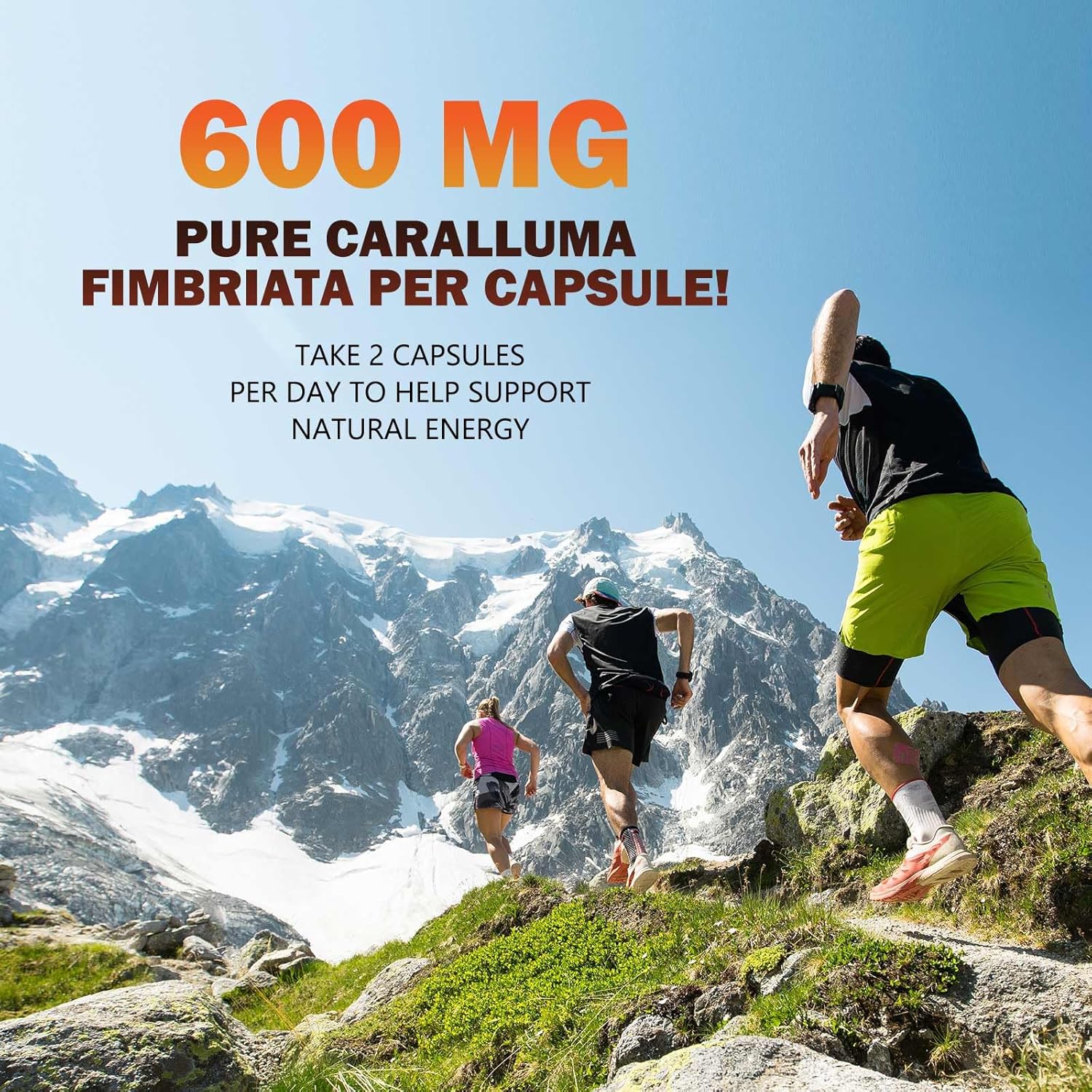 Highly Concentrated 1200mg Pure Caralluma Fimbriata Extract - Natural Endurance Support Capsules for Men & Women - Non-GMO Vegan Supplement - 180 Count