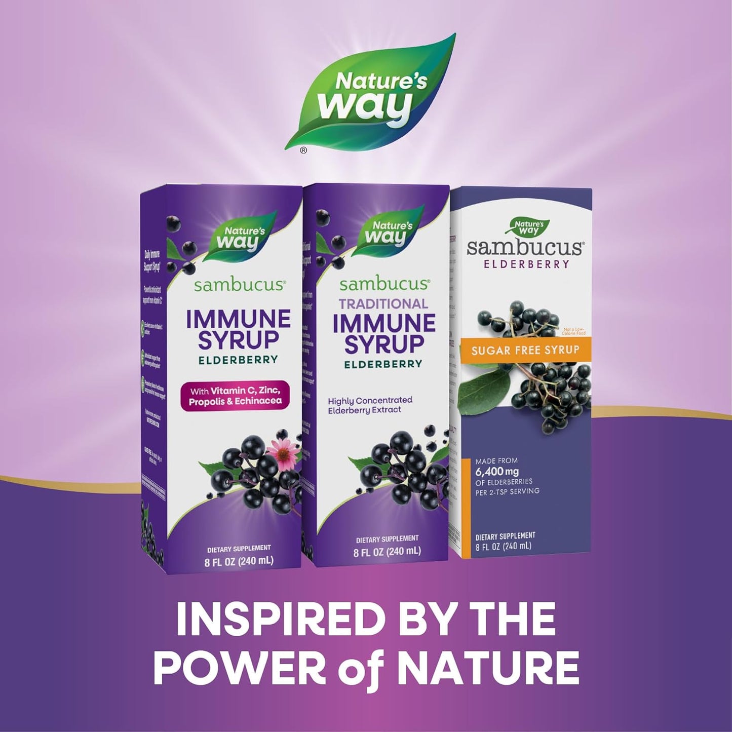 Highly Concentrated Black Elderberry Extract Immune Syrup - 8 Fl Oz