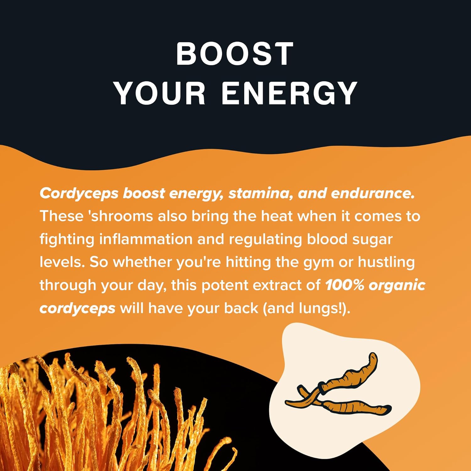 Highly Concentrated Organic Cordyceps Mushroom Powder for Energy, Stamina, and Athletic Performance - 4 OZ Vegan, Non-GMO