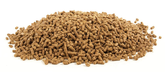 Highly Effective UltraCruz Equine Trace Minerals Supplement for Optimal Horse Health