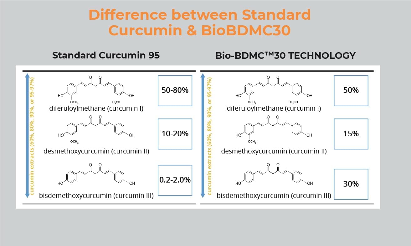 Highly Potent Next Generation BIOBDMC NovoCurcumin - 60 Capsules