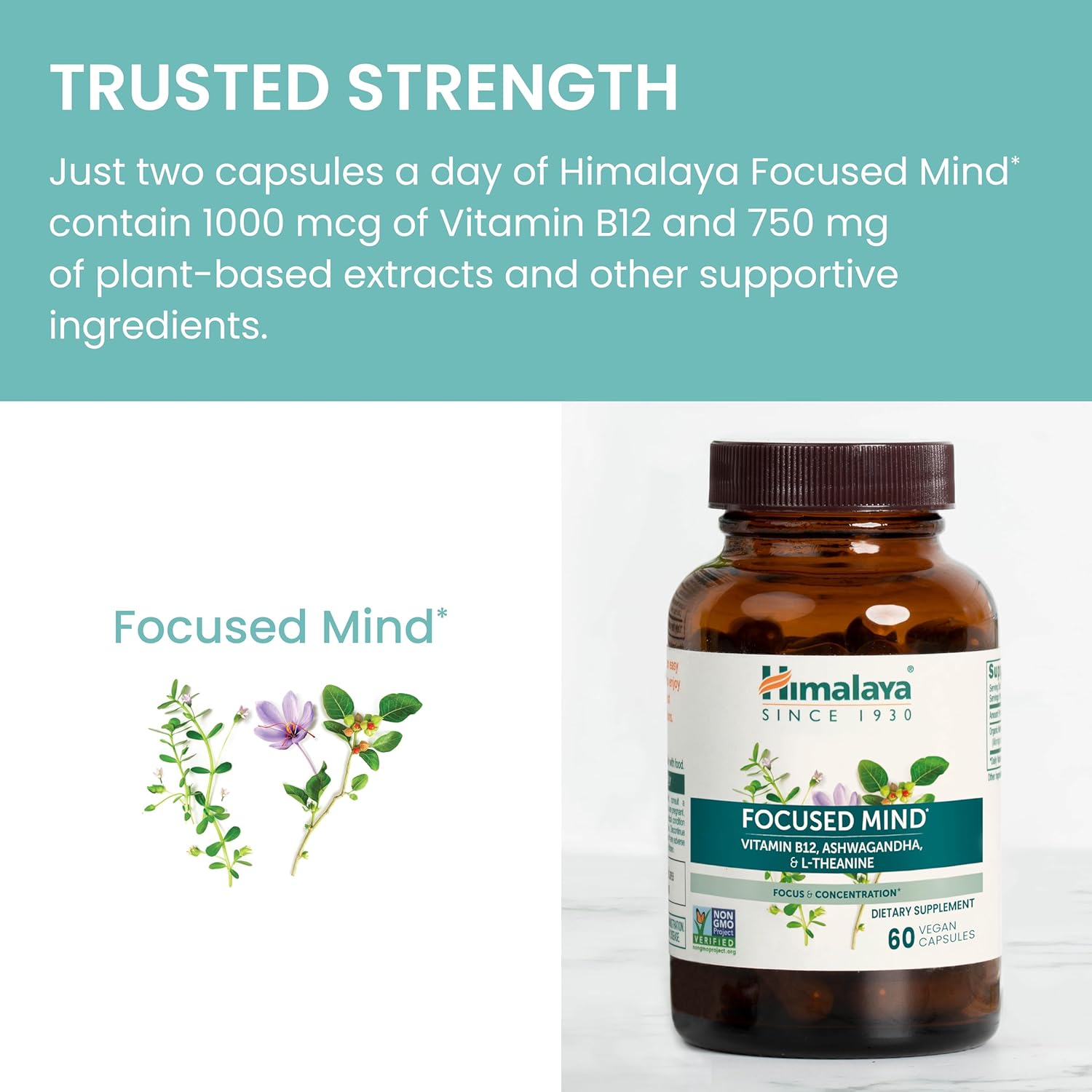 Himalaya Focused Mind Capsules with Ashwagandha, Bacopa & L-Theanine - Boost Focus, Energy, Attention - 60 Capsules, Vegan, Gluten Free - 1 Month Supply