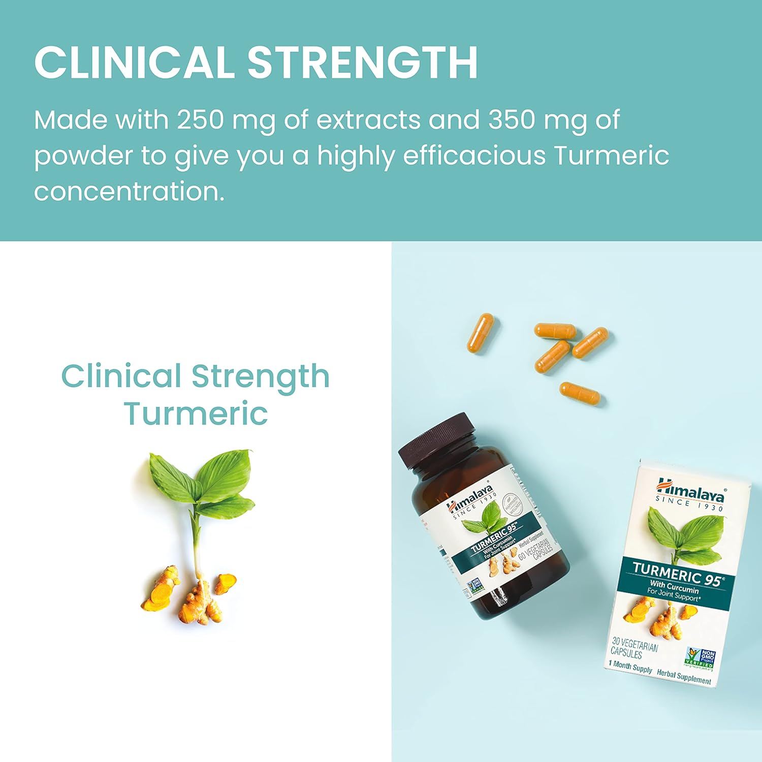 Himalaya Turmeric 95 Supplement - Curcumin for Joint & Muscle Support - 600mg Capsules - Non-GMO, Vegan, Gluten Free - 60 Day Supply