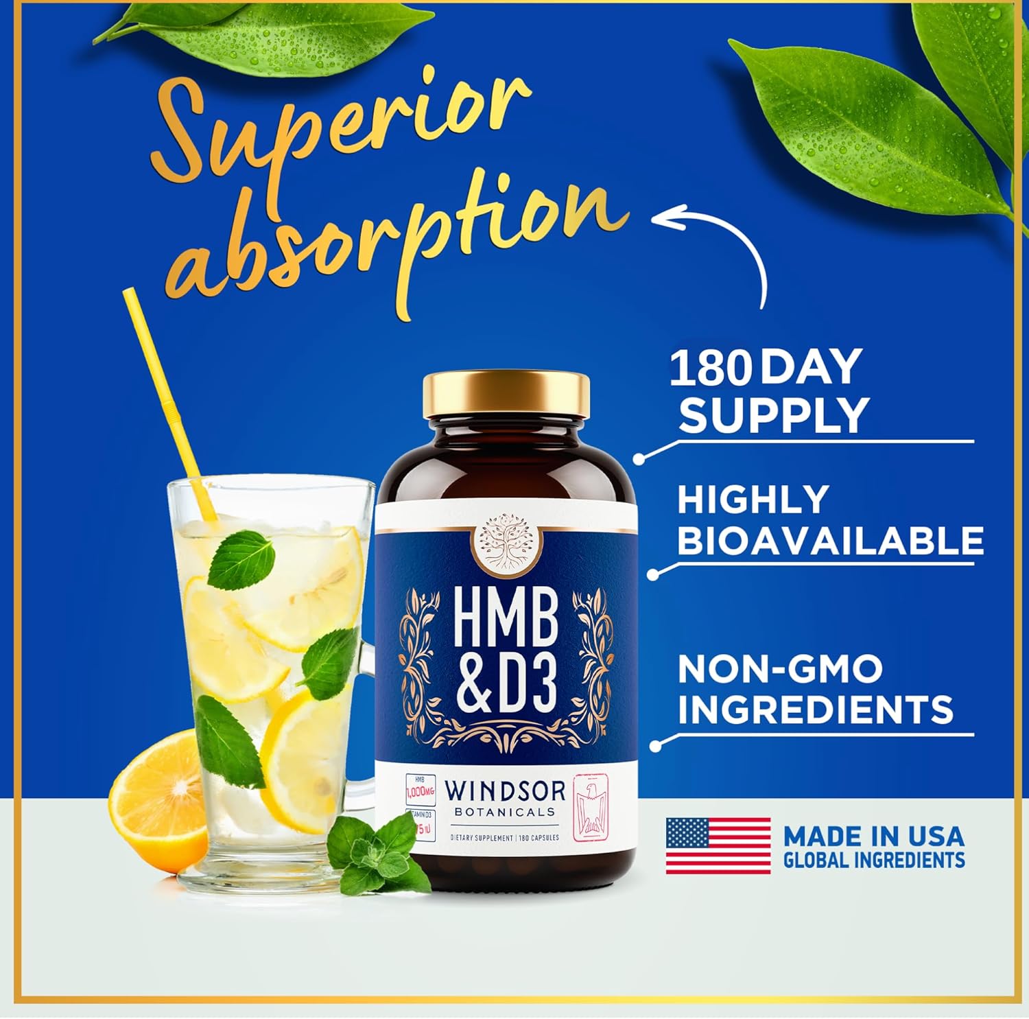 HMB and Vitamin D3 Supplement for Muscle Growth and Recovery - 1,000 MG HMB, Calcium, 360 Capsules - Windsor Botanicals