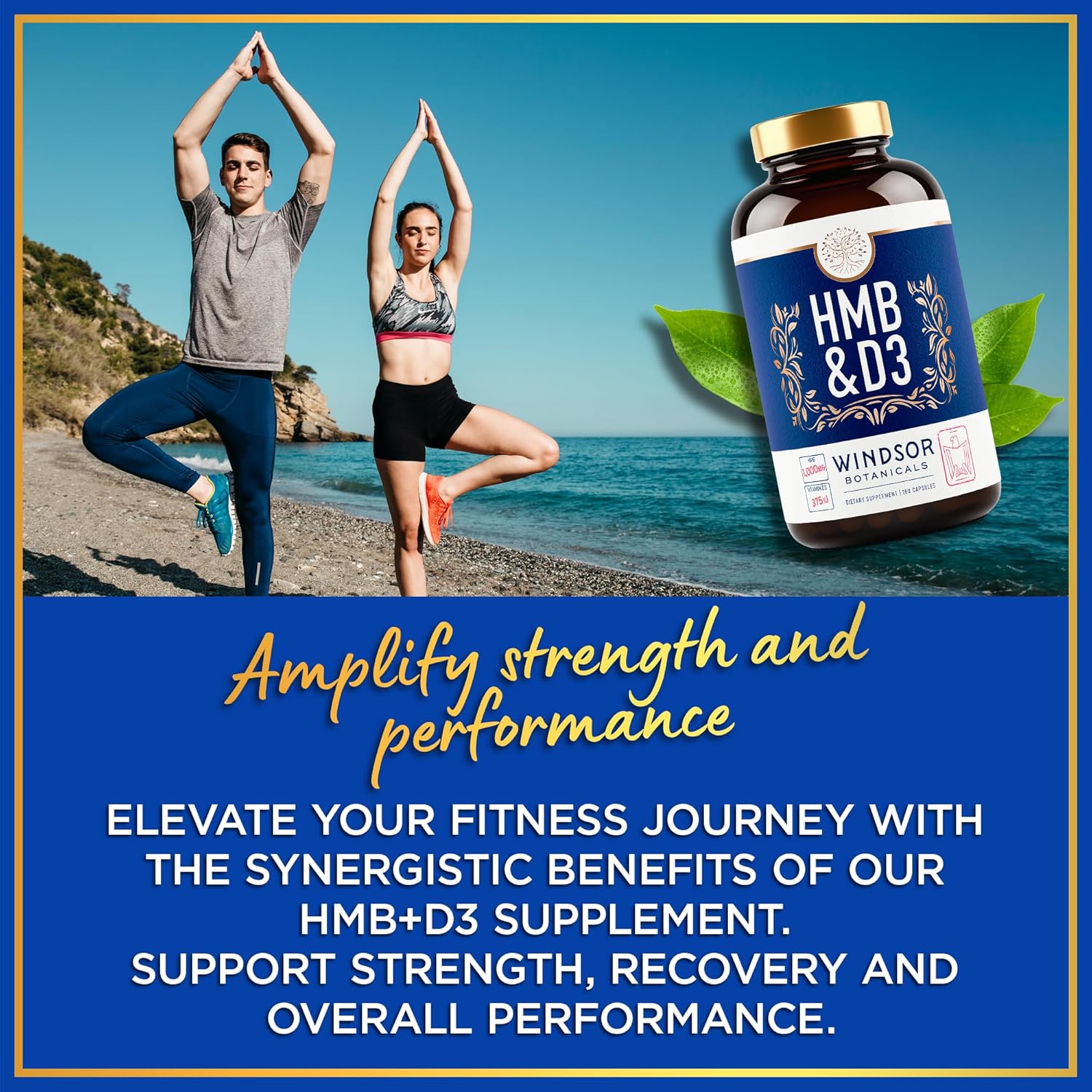 HMB and Vitamin D3 Supplement for Muscle Growth and Recovery - 1,000 MG HMB, Calcium, 360 Capsules - Windsor Botanicals