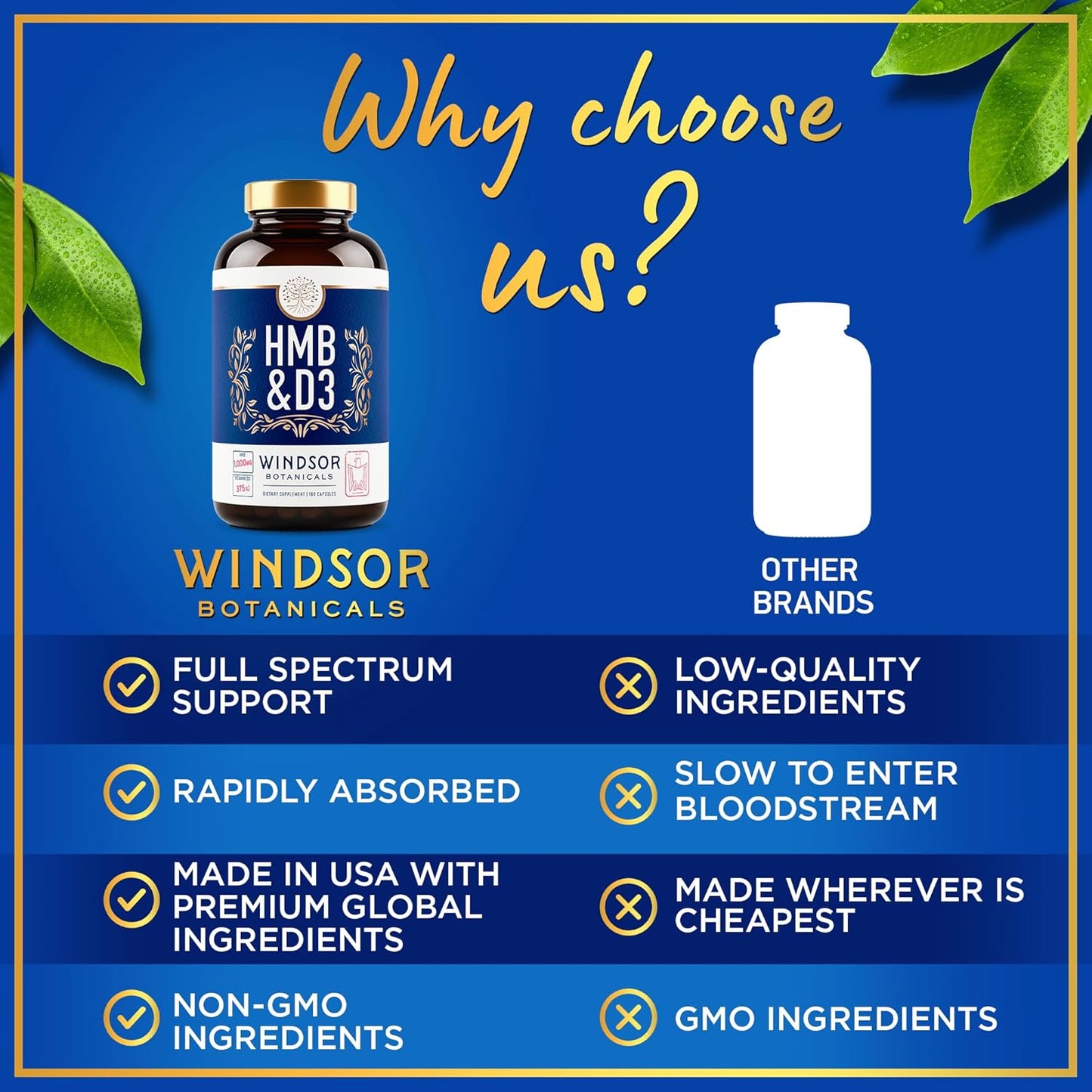 HMB and Vitamin D3 Supplement for Muscle Growth and Recovery - 1,000 MG HMB, Calcium, 360 Capsules - Windsor Botanicals