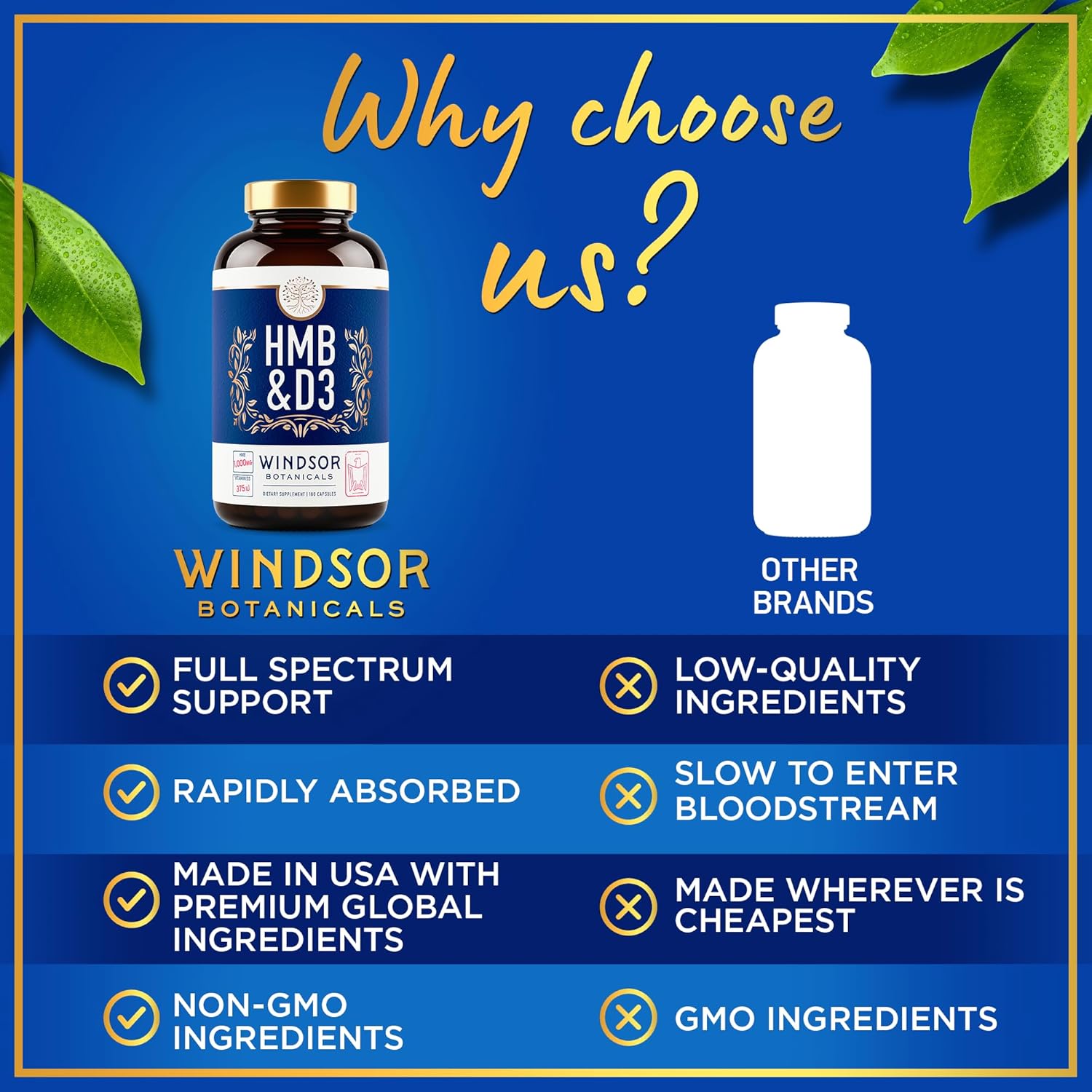 HMB and Vitamin D3 Supplement for Muscle Growth and Recovery - 1,000 MG HMB, Calcium, 360 Capsules - Windsor Botanicals