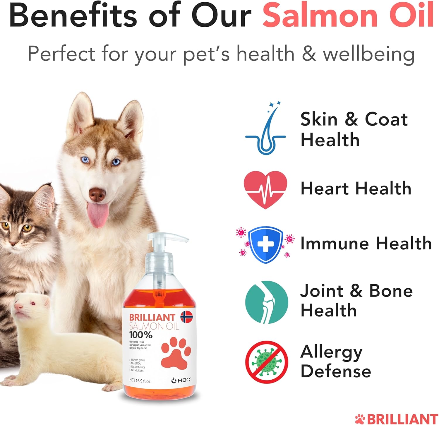 Hofseth BioCare Salmon Oil for Dogs - Natural Norwegian Fish Oil, Omega 3 Supplement for Healthy Skin & Coat, Allergies, Joint Health - 16.9 Oz