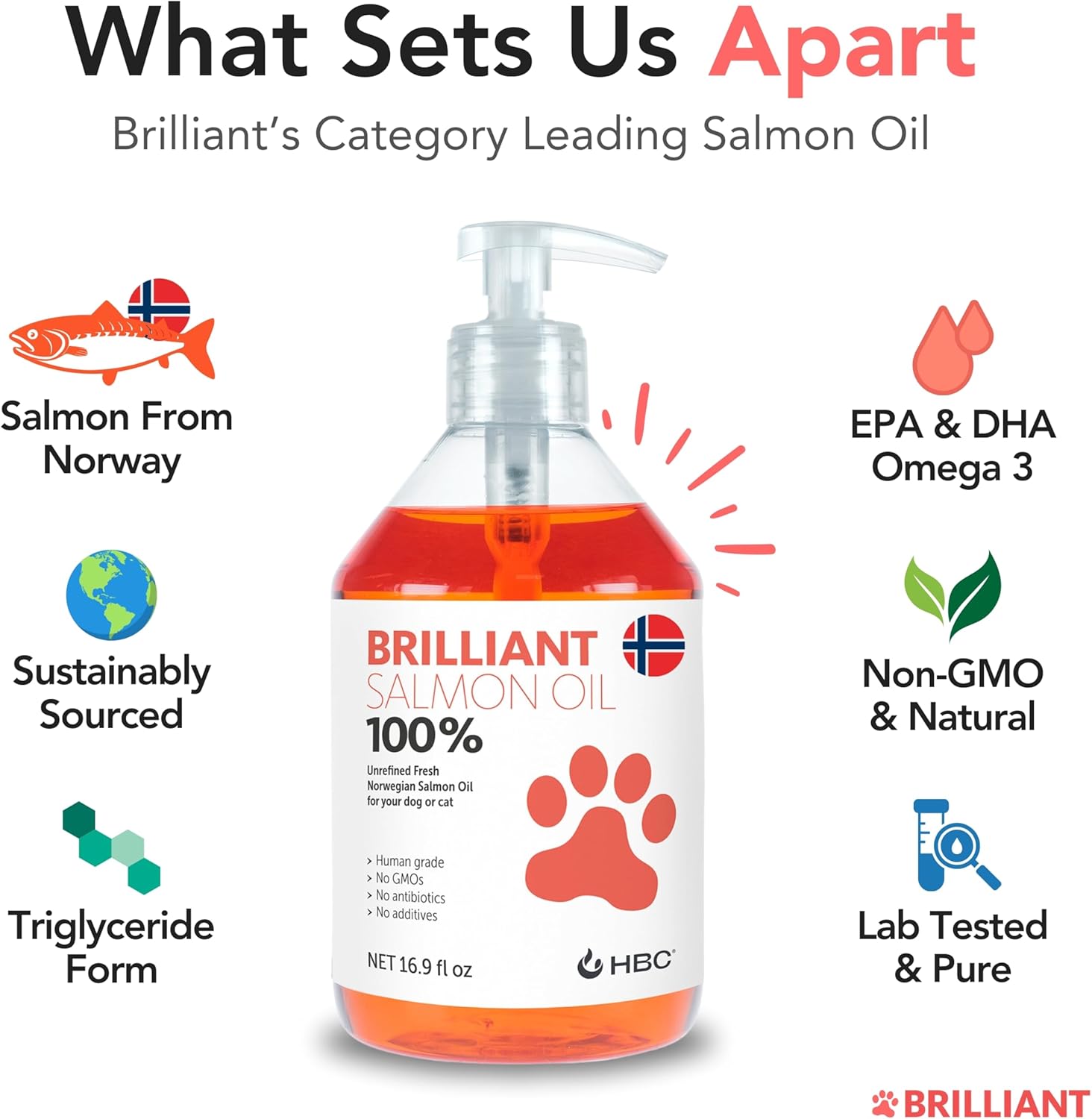 Hofseth BioCare Salmon Oil for Dogs - Natural Norwegian Fish Oil, Omega 3 Supplement for Healthy Skin & Coat, Allergies, Joint Health - 16.9 Oz