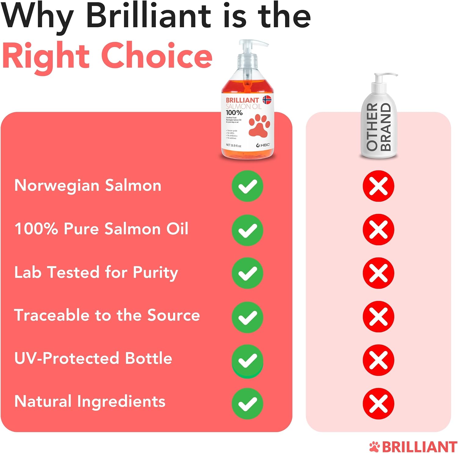 Hofseth BioCare Salmon Oil for Dogs - Natural Norwegian Fish Oil, Omega 3 Supplement for Healthy Skin & Coat, Allergies, Joint Health - 16.9 Oz