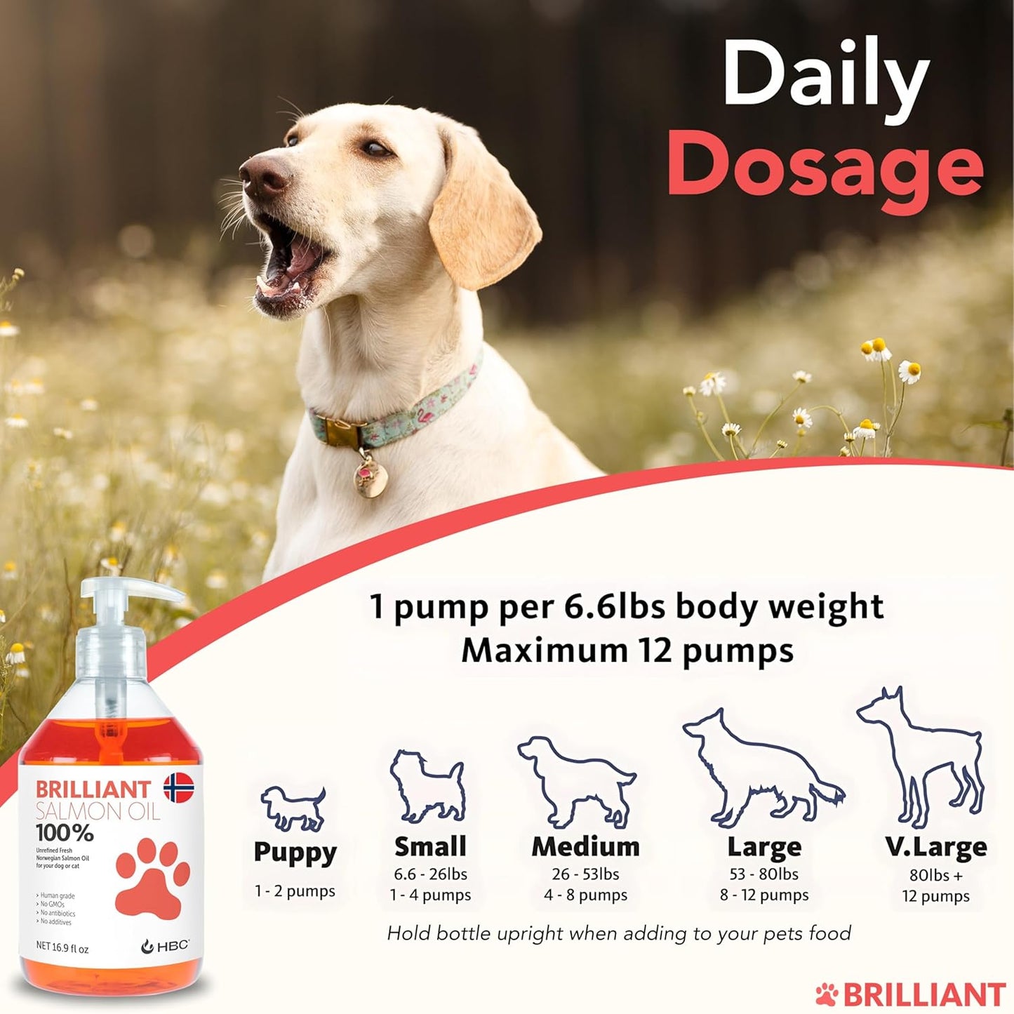 Hofseth BioCare Salmon Oil for Dogs - Natural Norwegian Fish Oil, Omega 3 Supplement for Healthy Skin & Coat, Allergies, Joint Health - 16.9 Oz