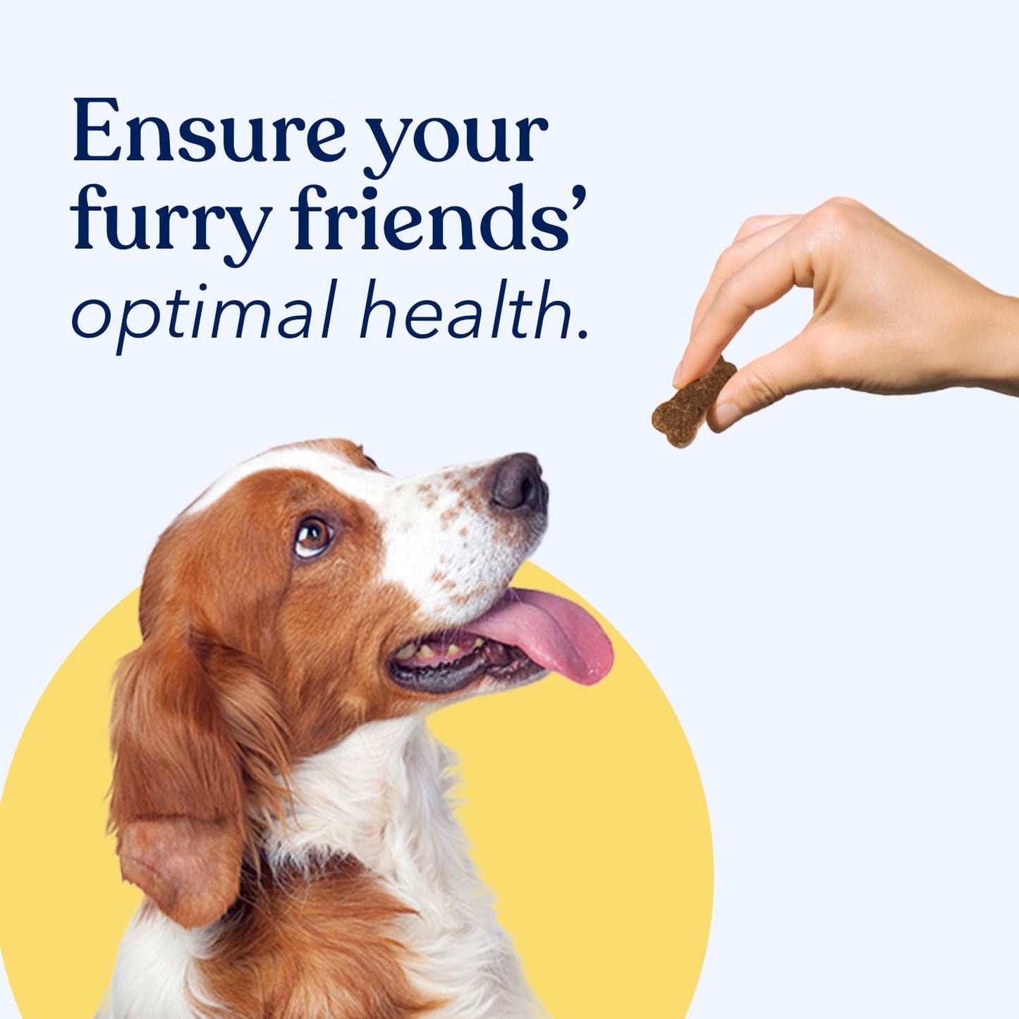 Honest Paws Dog Multivitamin Soft Chews for Joint Health, Coat, and Overall Wellness - Glucosamine, Omega-3, Beef Flavor