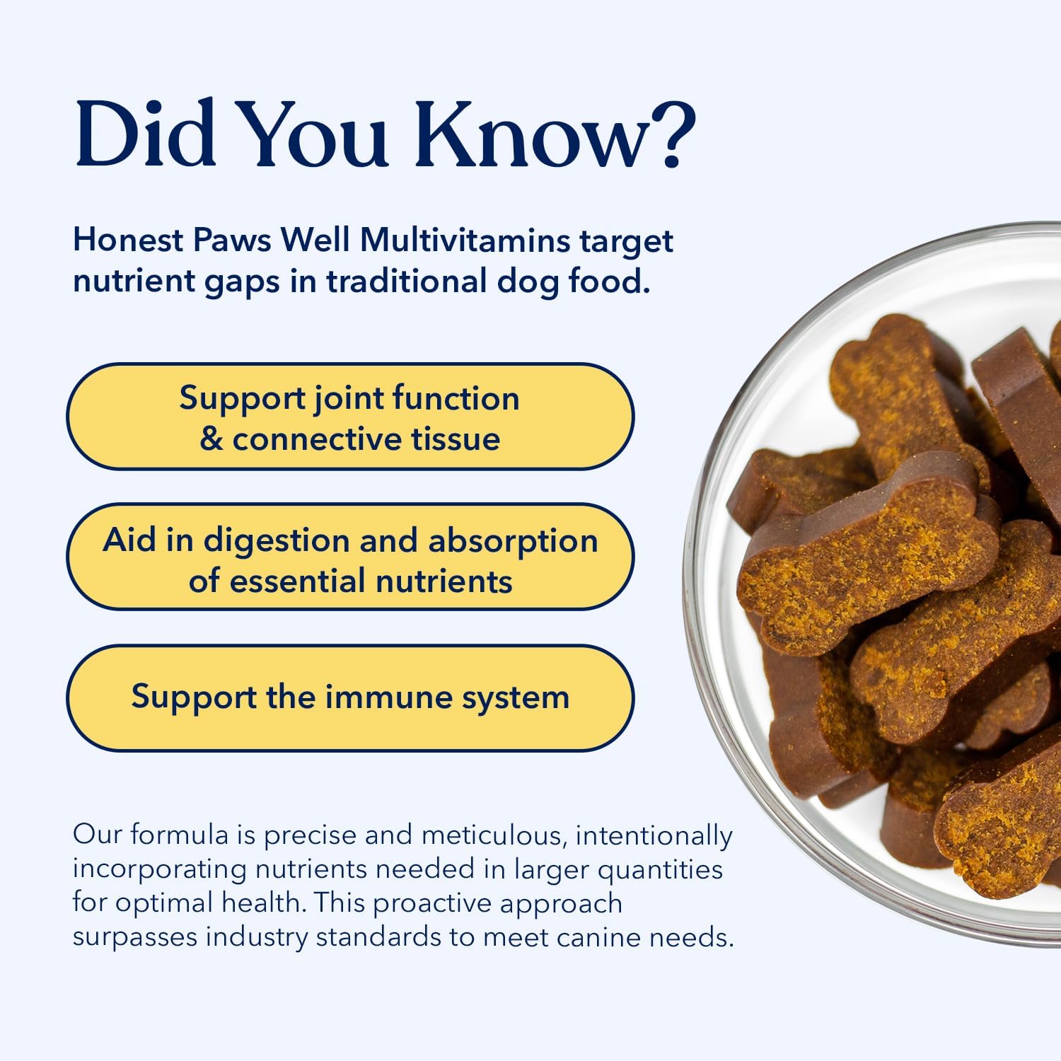 Honest Paws Dog Multivitamin Soft Chews for Joint Health, Coat, and Overall Wellness - Glucosamine, Omega-3, Beef Flavor