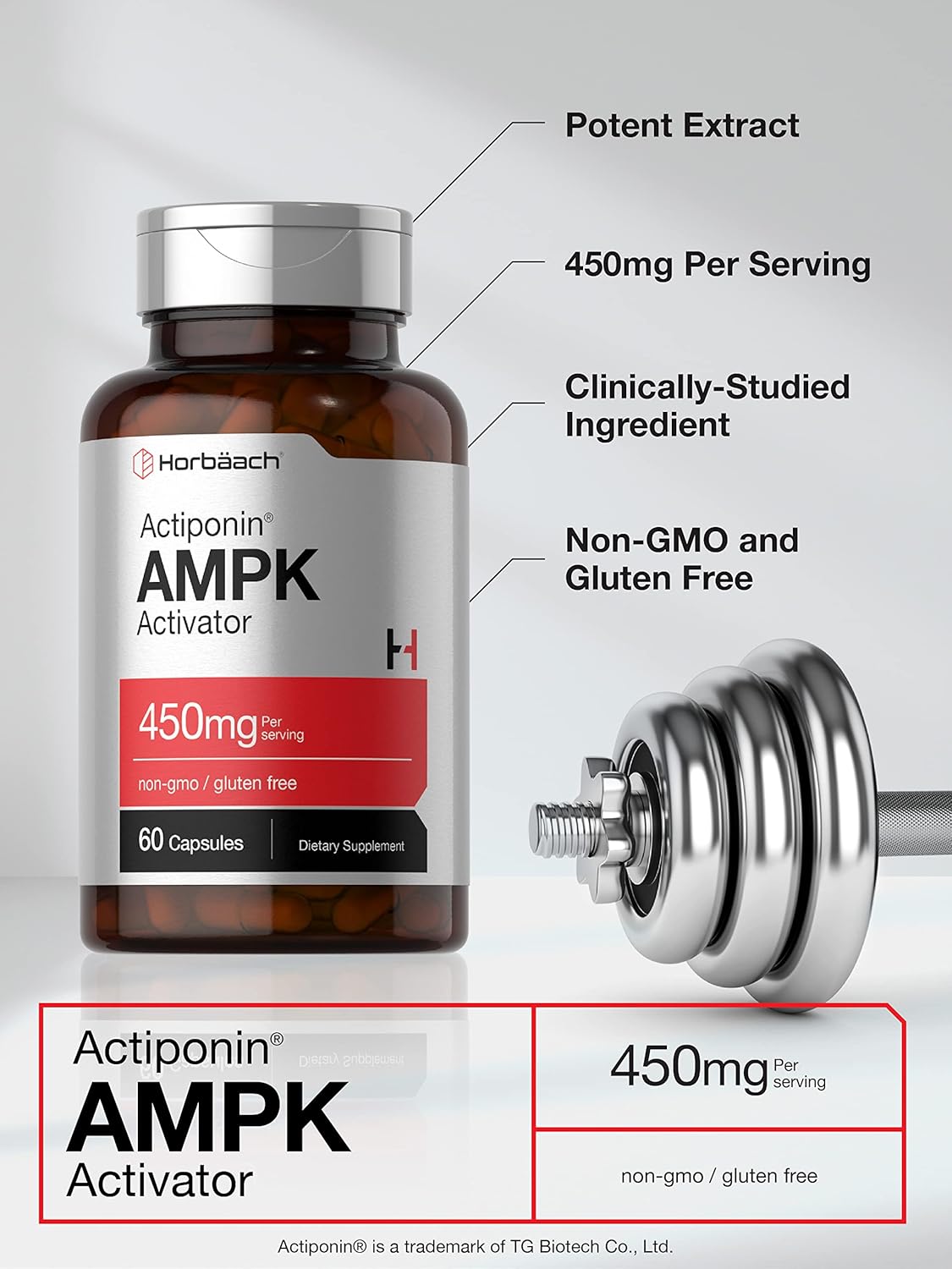 Horbäach AMPK Metabolic Activator 450 mg - 60 Capsules - Non-GMO, Gluten Free Supplement