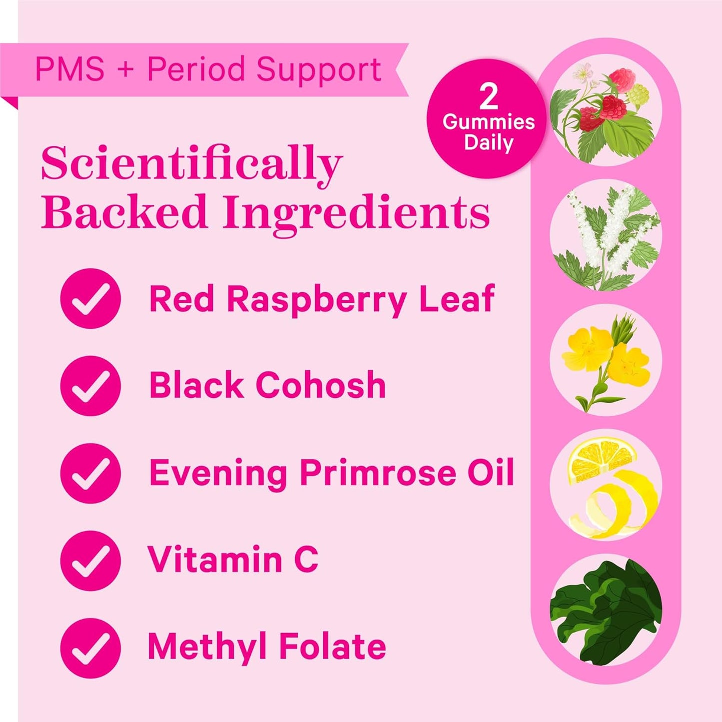 Hormone Balance Support Gummies with Red Raspberry Leaf & Black Cohosh - 60 Plant-Based Berry Gummies for Period & PMS - Reduce Bloating, Acne & Cravings