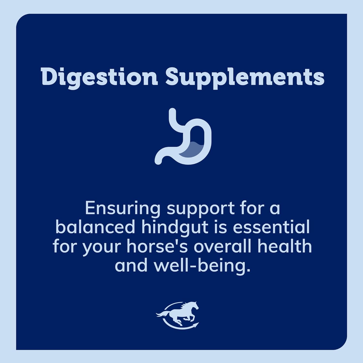 Horse Digestive Health Supplement with Probiotics and Prebiotics, 56 Servings, 1.85 lb - SmartPak SmartDigest