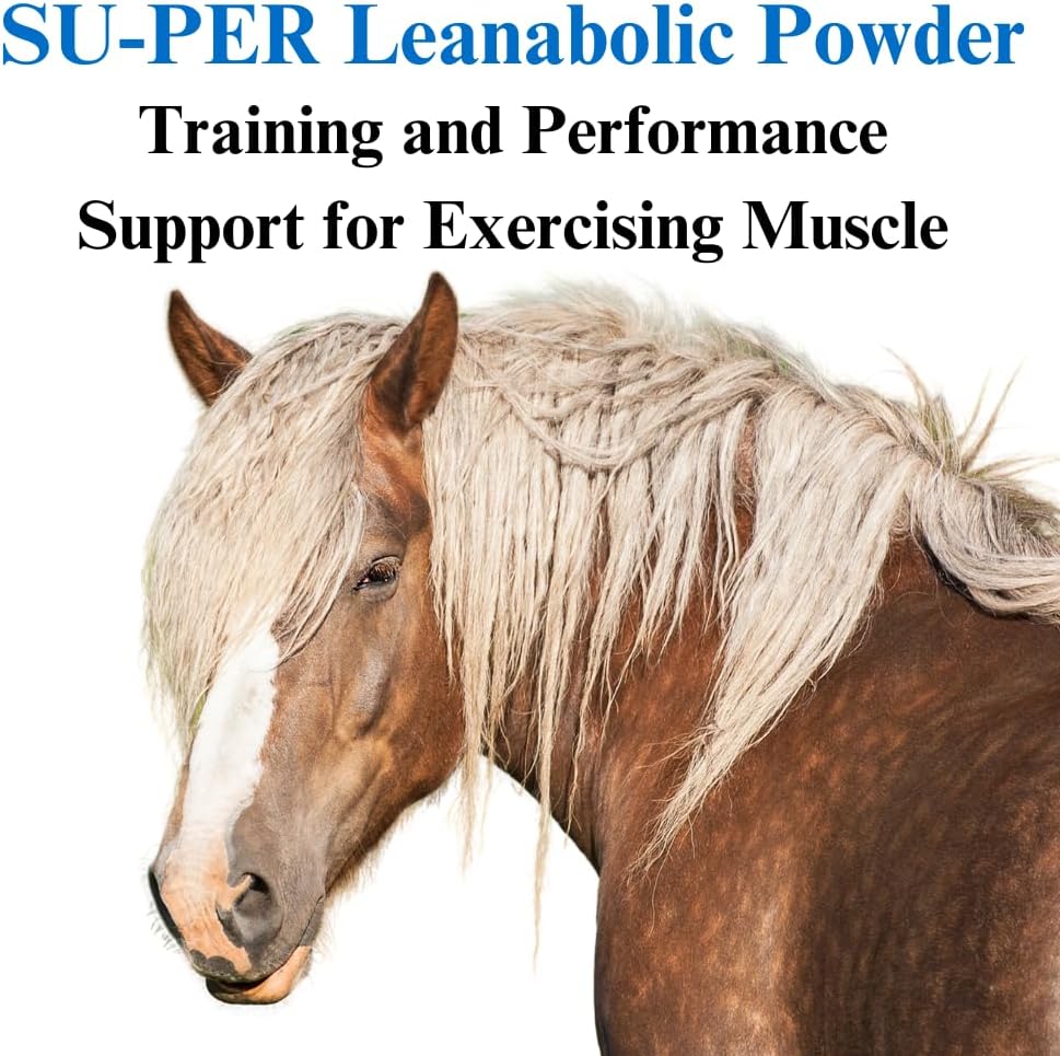 Horse Muscle Supplement for Training and Performance Support - Leanabolic Formula with Vitamins and Minerals - 4 Pound, (2 Pack)