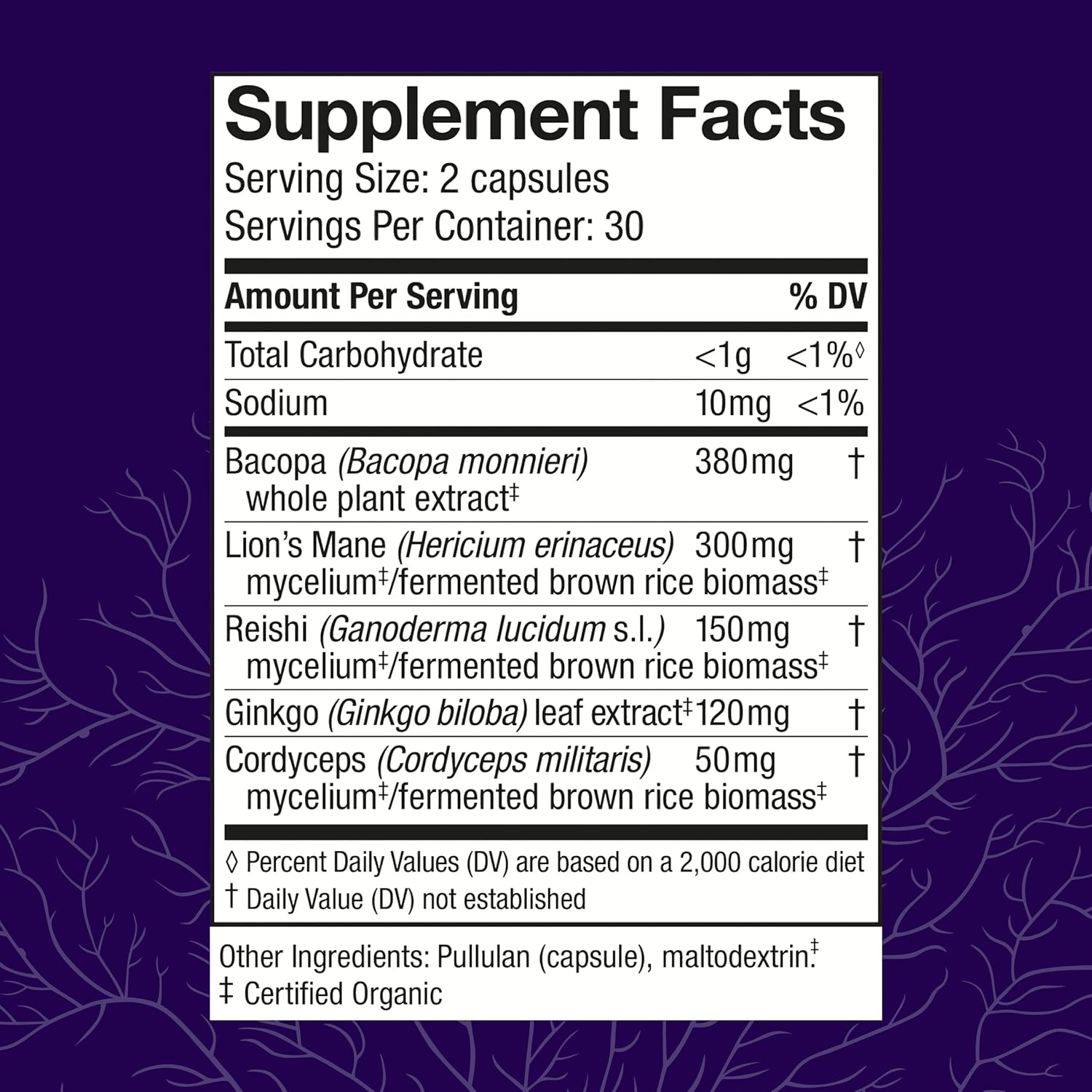 Host Defense MycoBotanicals Brain Support Capsules - Memory & Focus Supplement with Lion's Mane, Reishi & Cordyceps Mushroom - Herbal Brain Supplement - 60 Capsules