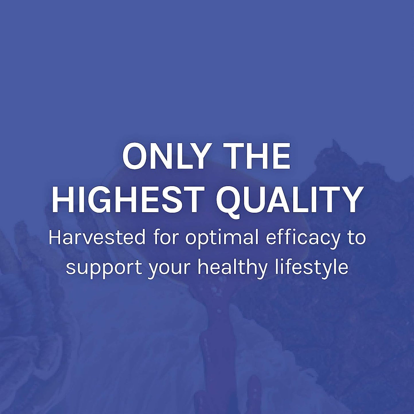 Host Defense Stamets 7 Mushroom Supplement - 7 Species Immune Support Blend - Includes Royal Sun Blazei, Cordyceps, Reishi, Maitake, Lion's Mane, Chaga & Mesima - 60 Capsules