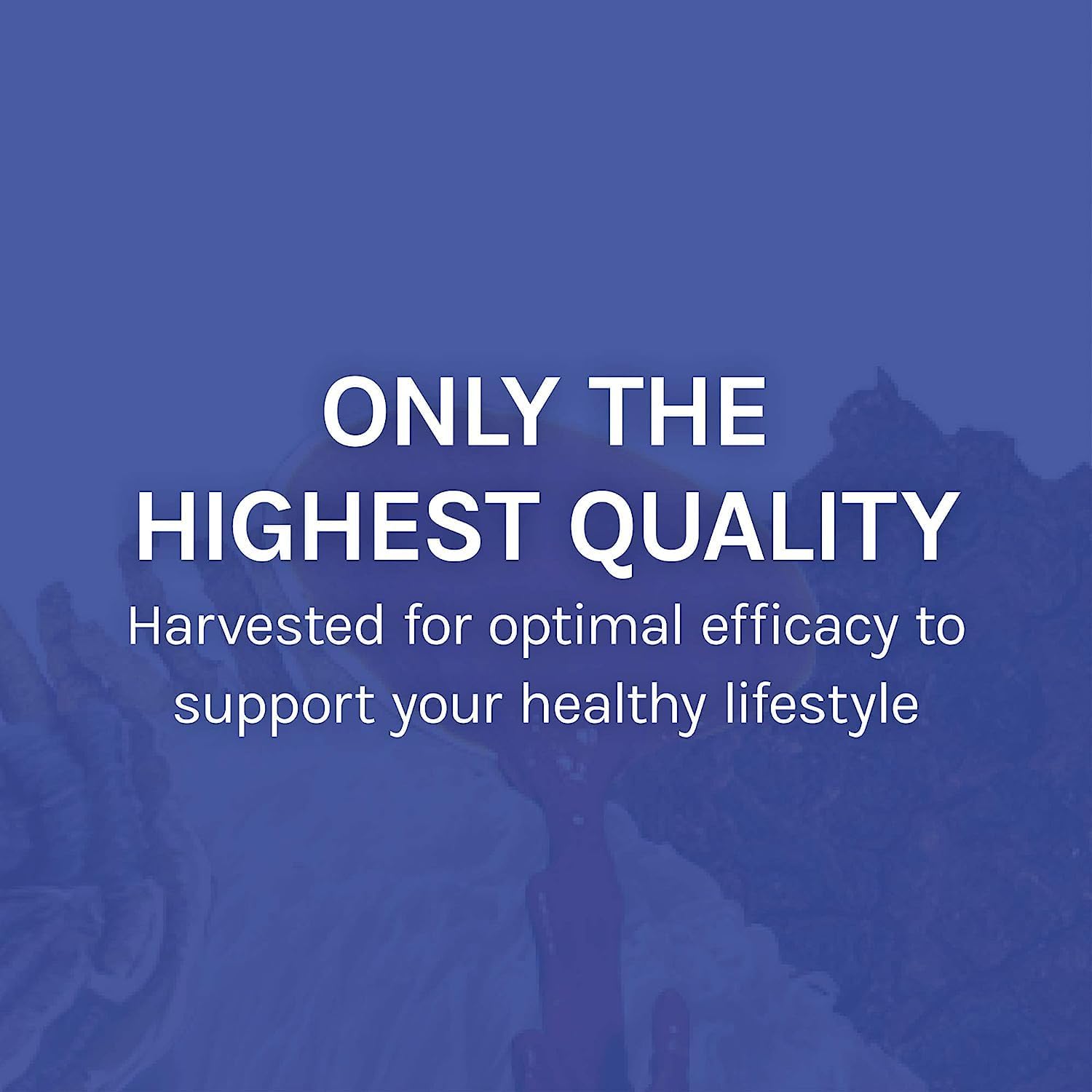 Host Defense Stamets 7 Mushroom Supplement - 7 Species Immune Support Blend - Includes Royal Sun Blazei, Cordyceps, Reishi, Maitake, Lion's Mane, Chaga & Mesima - 60 Capsules