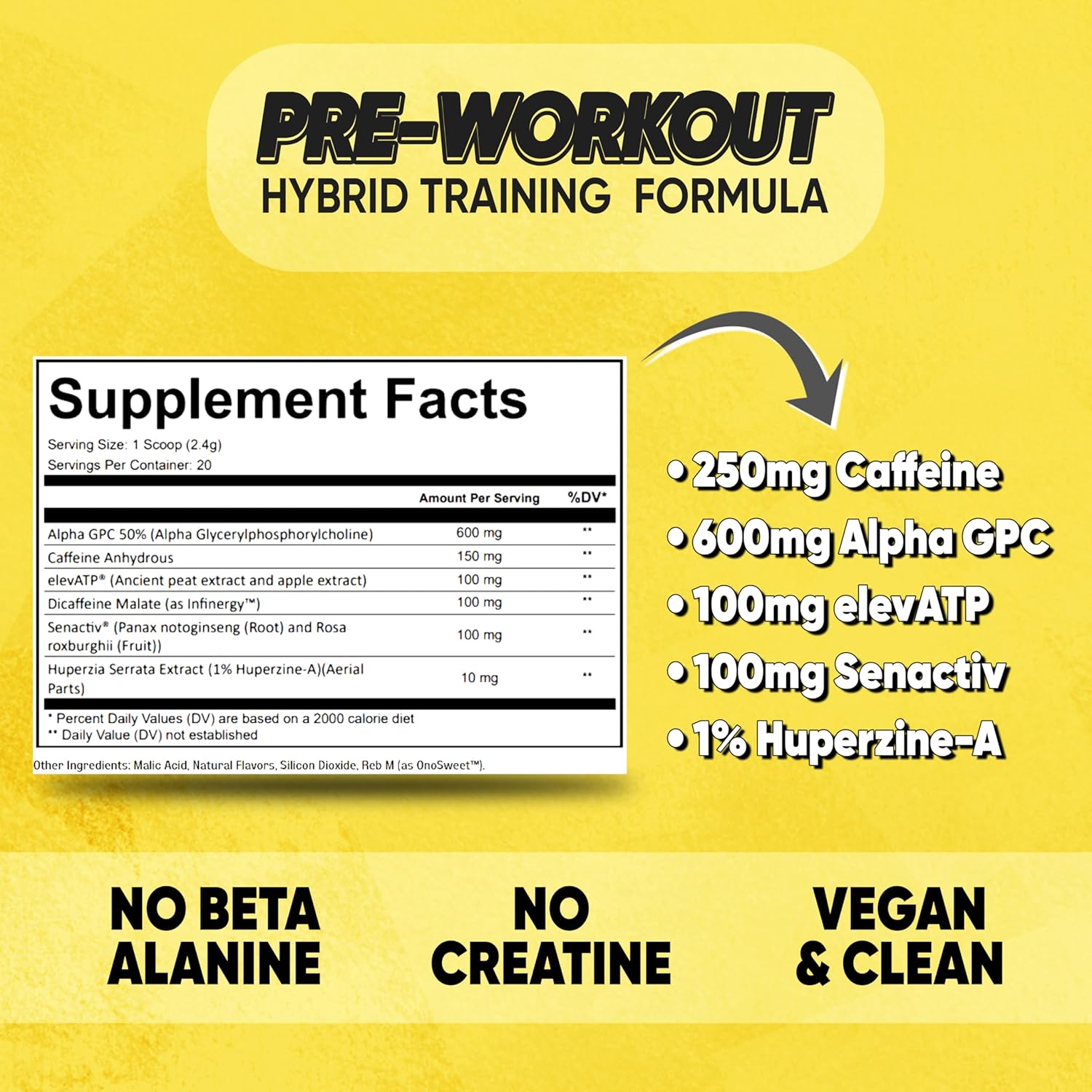 Hybrid Pre Workout Powder Supplement with 250mg Caffeine and Alpha GPC for Energy, Focus, and Endurance - 20 Servings for Men & Women