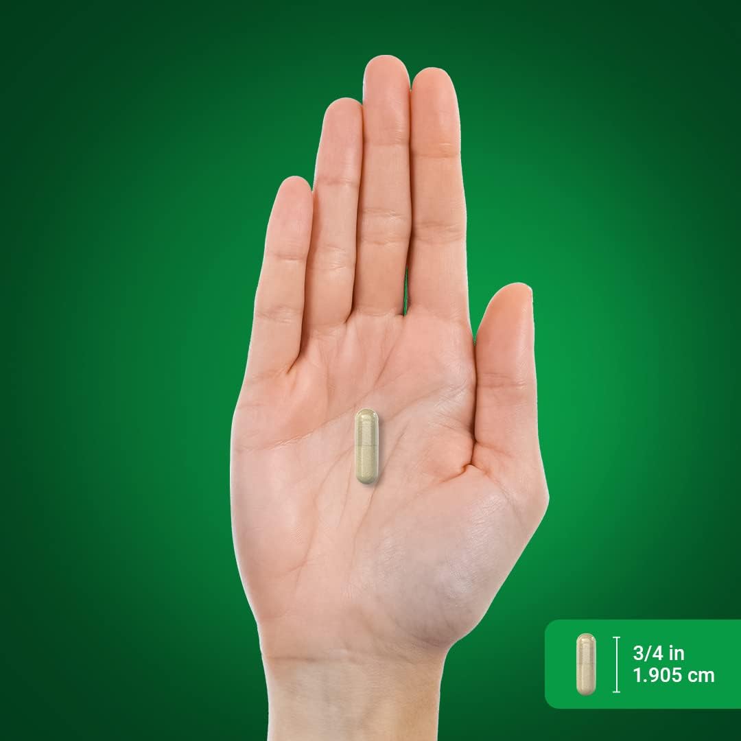 Hydrangea Root Capsules 500mg - 100 Count Concentrated Extract Supplement | Non-GMO, Gluten-Free by Piping Rock