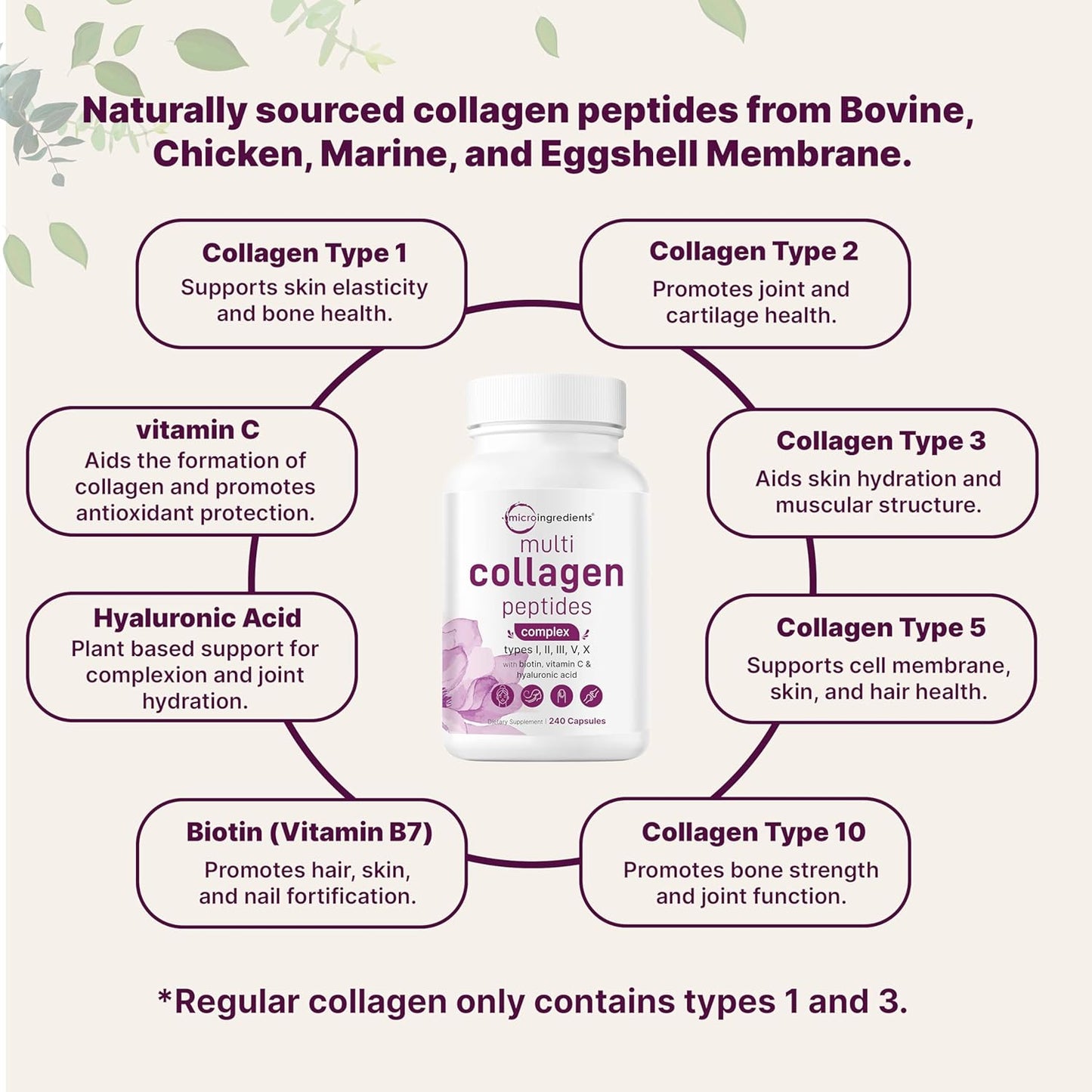 Hydrolyzed Multi Collagen Pills with Biotin, Hyaluronic Acid, Vitamin C - 240 Capsules for Hair, Skin, Nails, Joints - Men & Women, Type I, II, III, V, X
