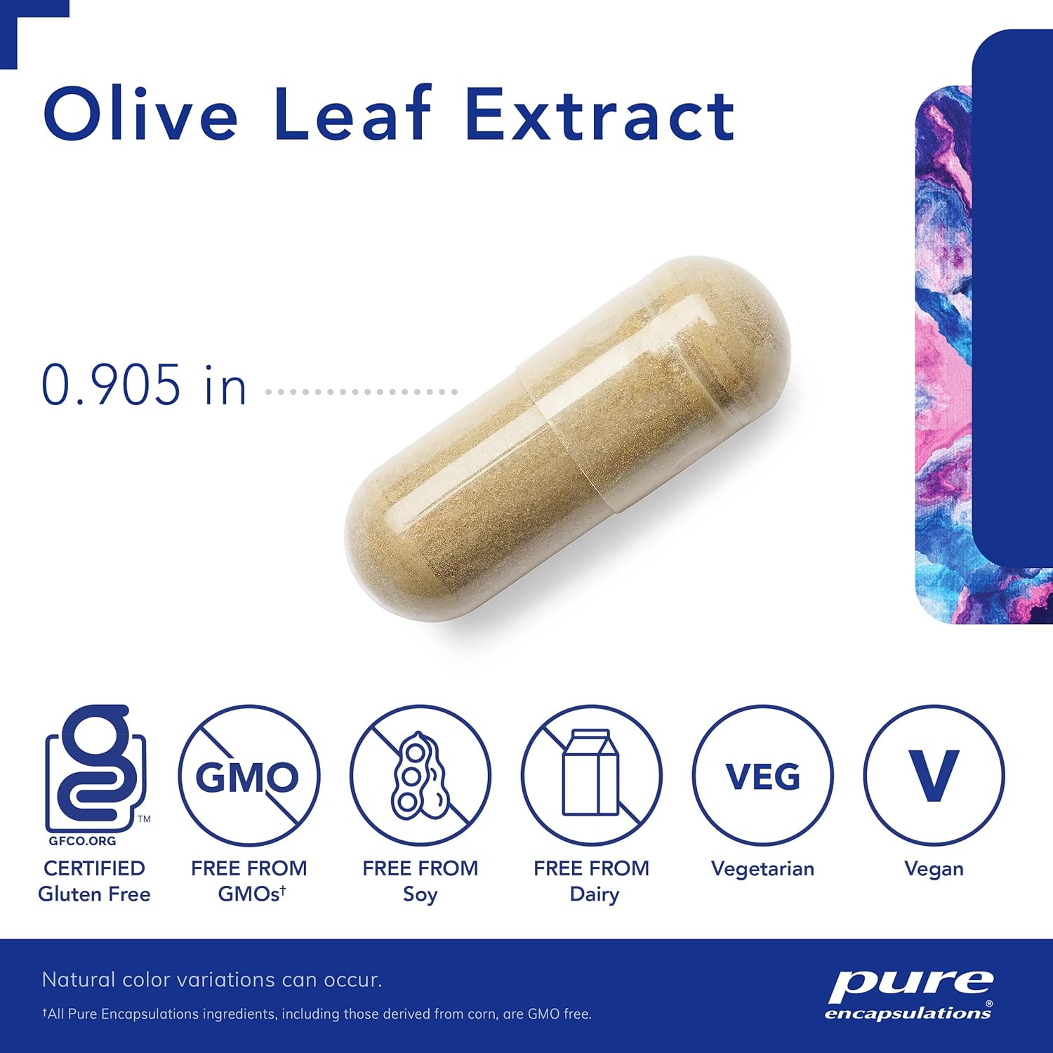 Hypoallergenic Olive Leaf Extract Capsules for Immune Support and Intestinal Health - 60 Count