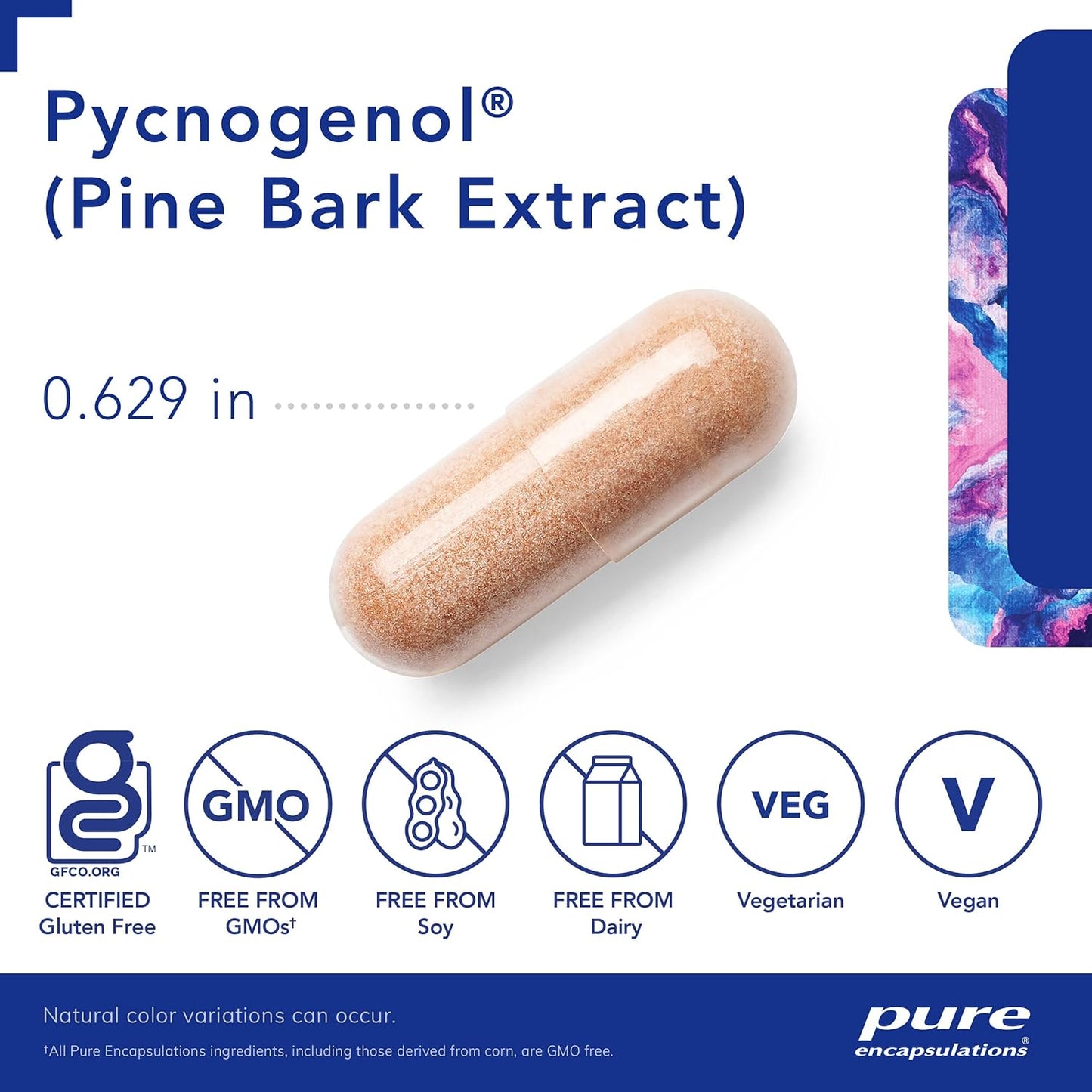 Hypoallergenic Pycnogenol (Pine Bark Extract) 50mg Capsules - Cognitive & Cardiovascular Support - 120ct