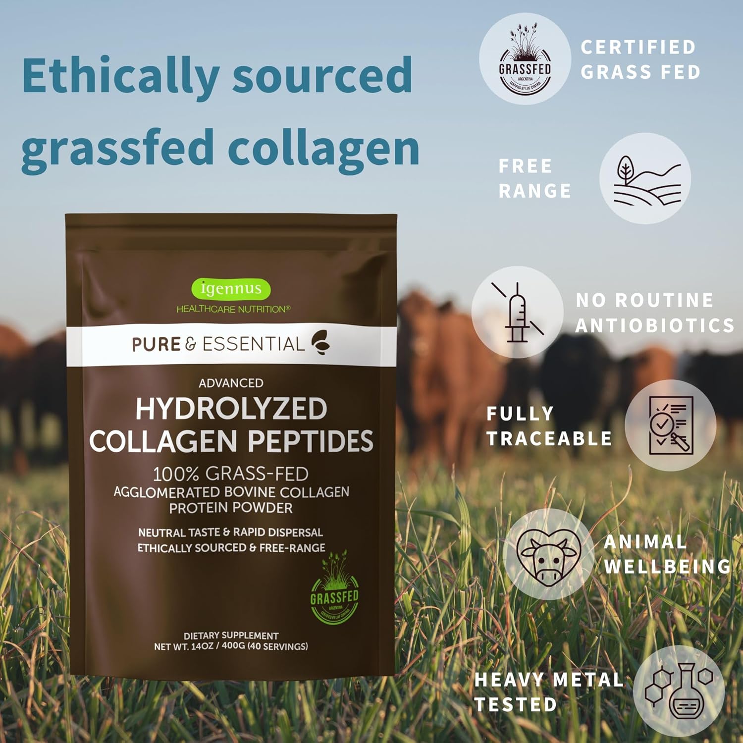 Igennus Healthcare Nutrition Bundle: Pharmepa Restore & Advanced Collagen Peptides - 1000mg EPA Omega-3 Fish Oil & Grass Fed Bovine Collagen Powder