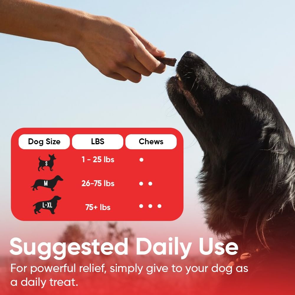iHeartDogs Cranberry & D-Mannose Blend for Dog's Urinary Health - Supports Bladder Strength & UTI Prevention