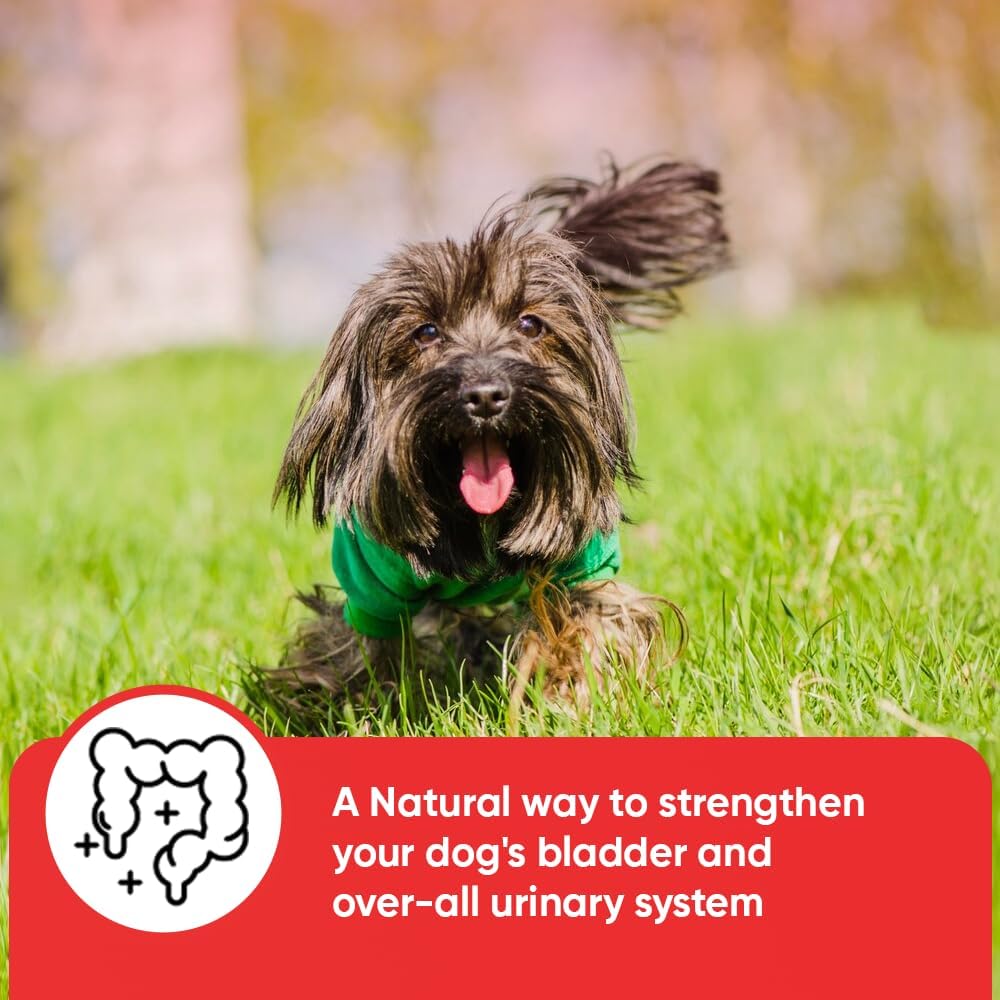 iHeartDogs Cranberry & D-Mannose Blend for Dog's Urinary Health - Supports Bladder Strength & UTI Prevention