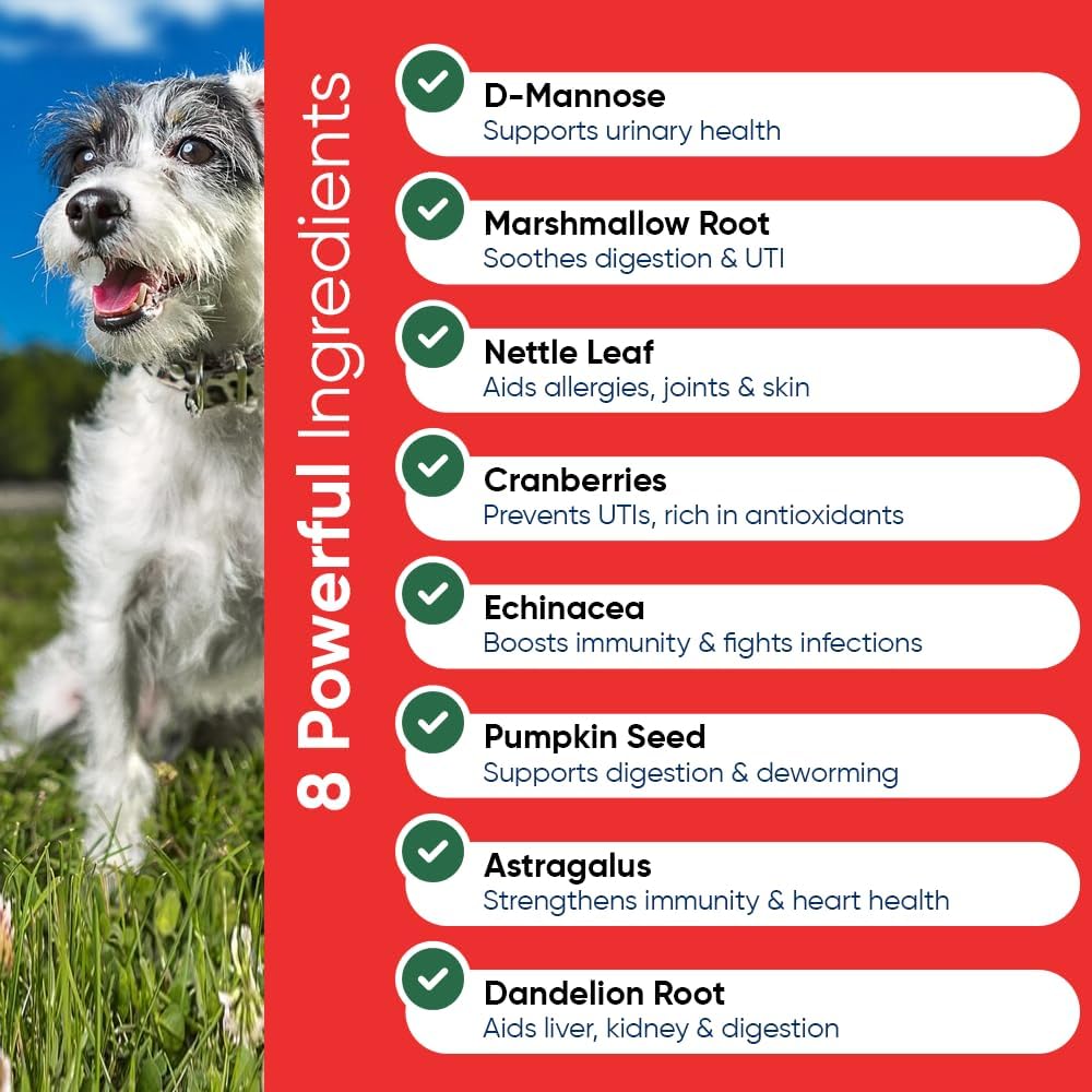 iHeartDogs Cranberry & D-Mannose Blend for Dog's Urinary Health - Supports Bladder Strength & UTI Prevention