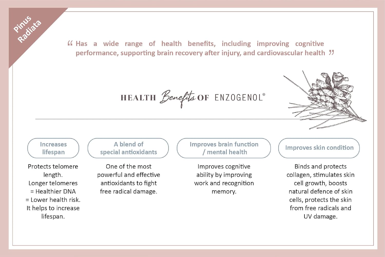 Immority Liveon Natural Pine Bark Extract Beverage Mix with Fruits - 32 Sachets, 4X Antioxidant Power for Youthful Skin