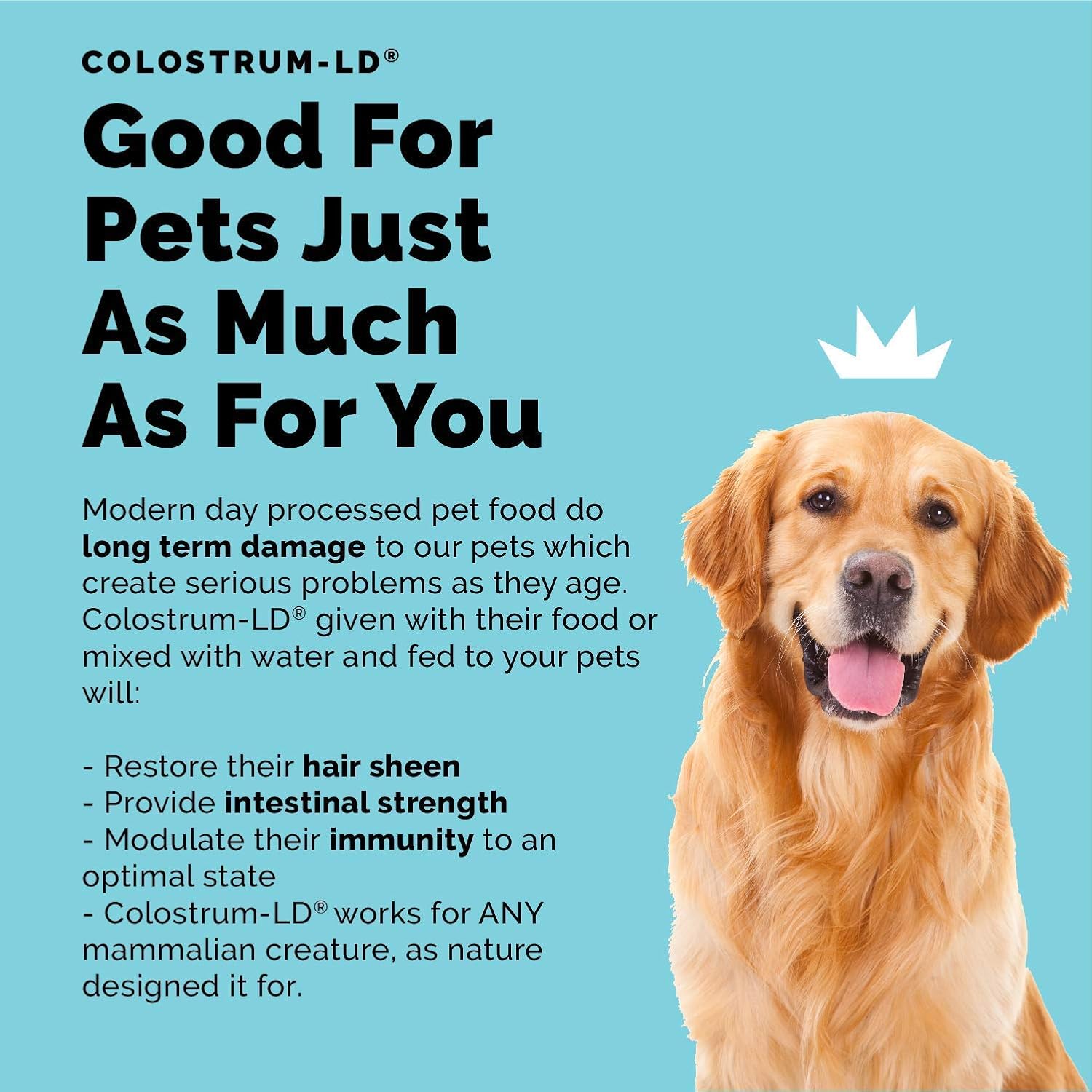 Immune-Boosting Colostrum-LD and Vitamin C Bundle - Support Gut Health and Immunity with Rosehips and Bioflavonoids - 94 Days Supply