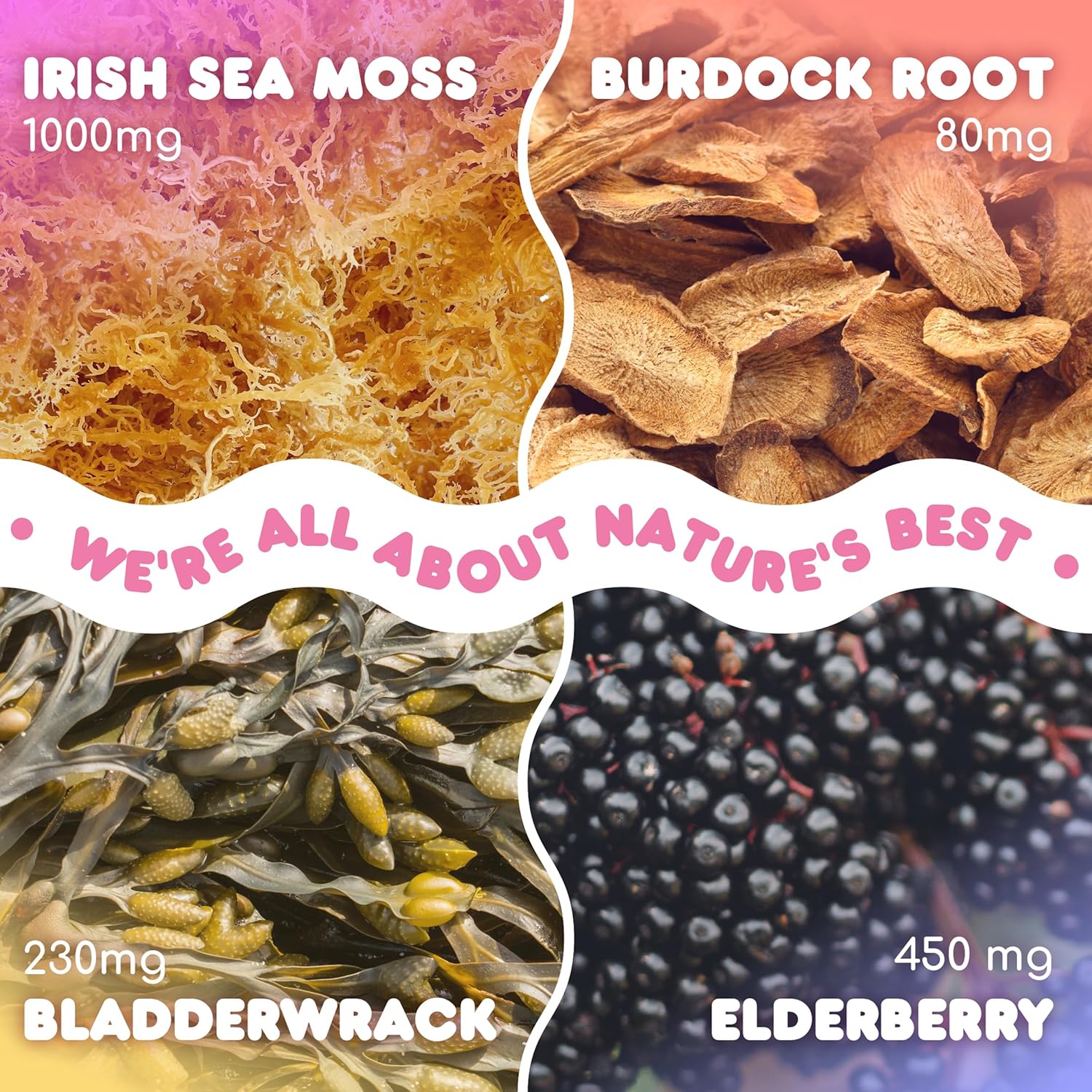 Immune-Boosting Sea Moss Gummies with Elderberry, Burdock Root, Bladderwrack - 240 pcs (2 Pack) for Overall Wellness and Health