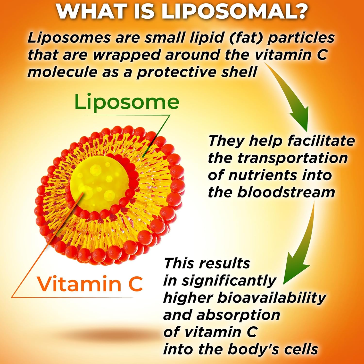 Immune-Boosting Supplement Bundle: Quercetin with Bromelain and Liposomal Vitamin C 1500mg for Overall Health Support